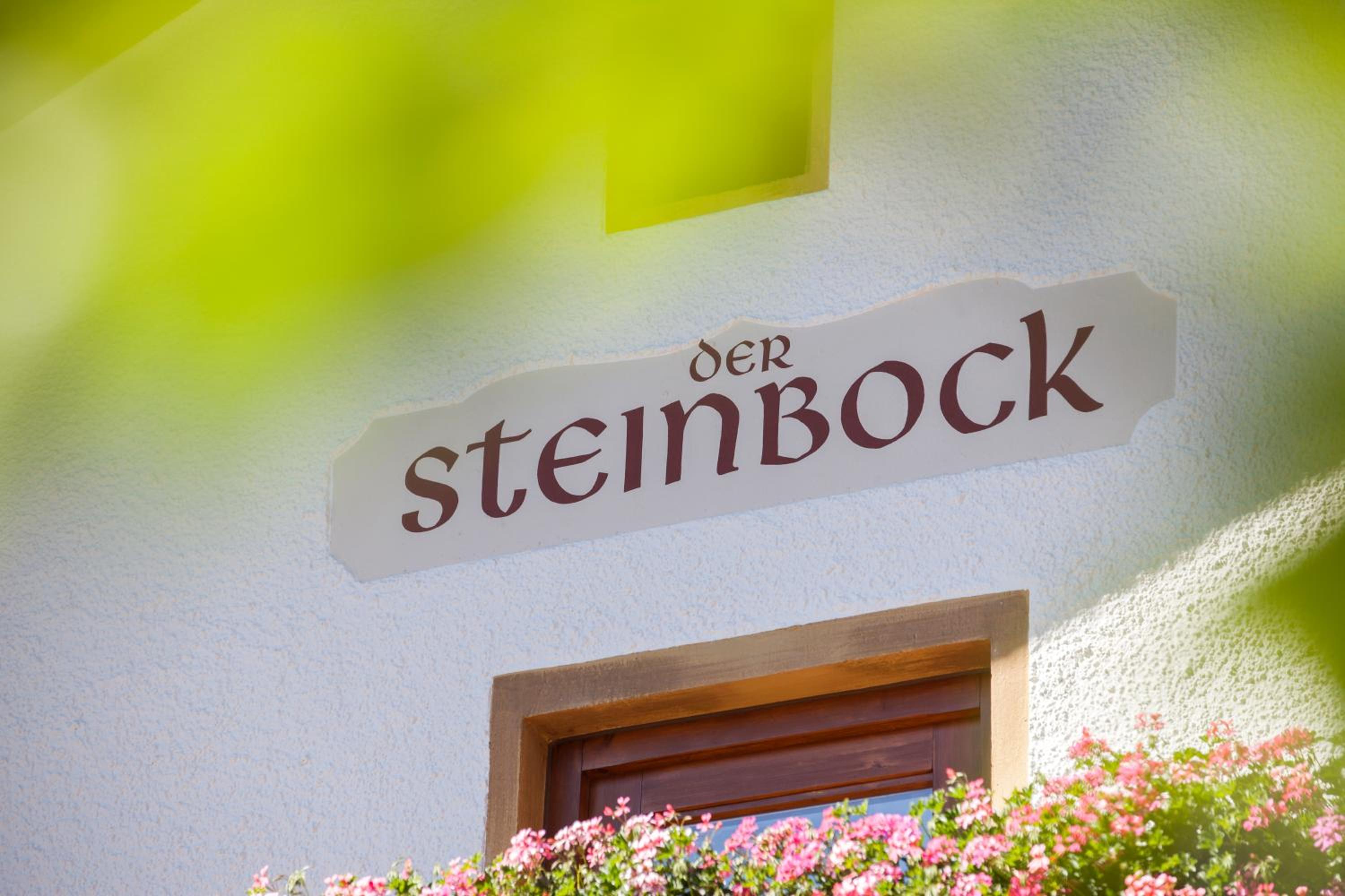 Chalet Hildegard der Steinbock Sommerwohnung Winterferienhaus