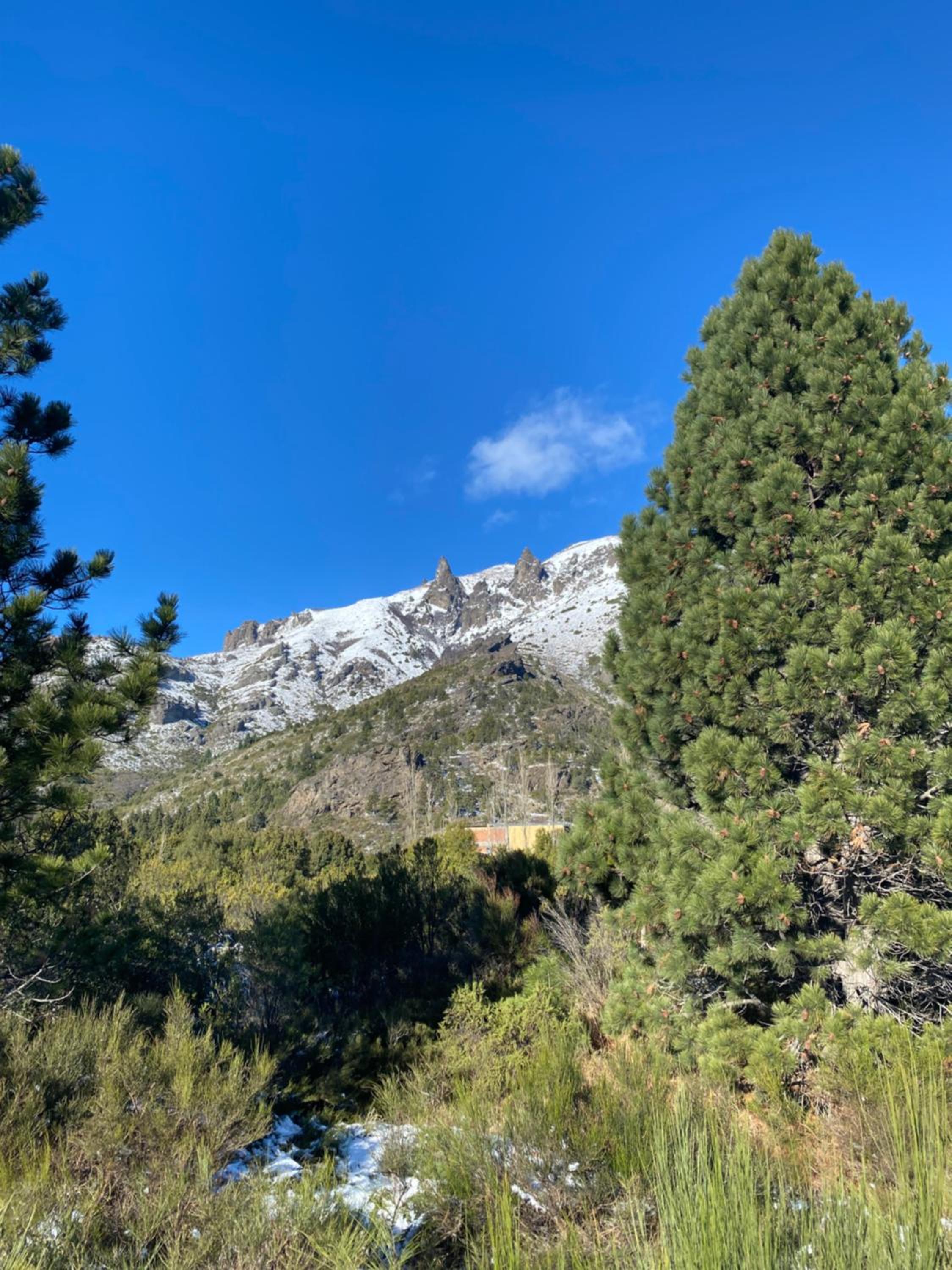 Bariloche-Northern Patagonia Chalet