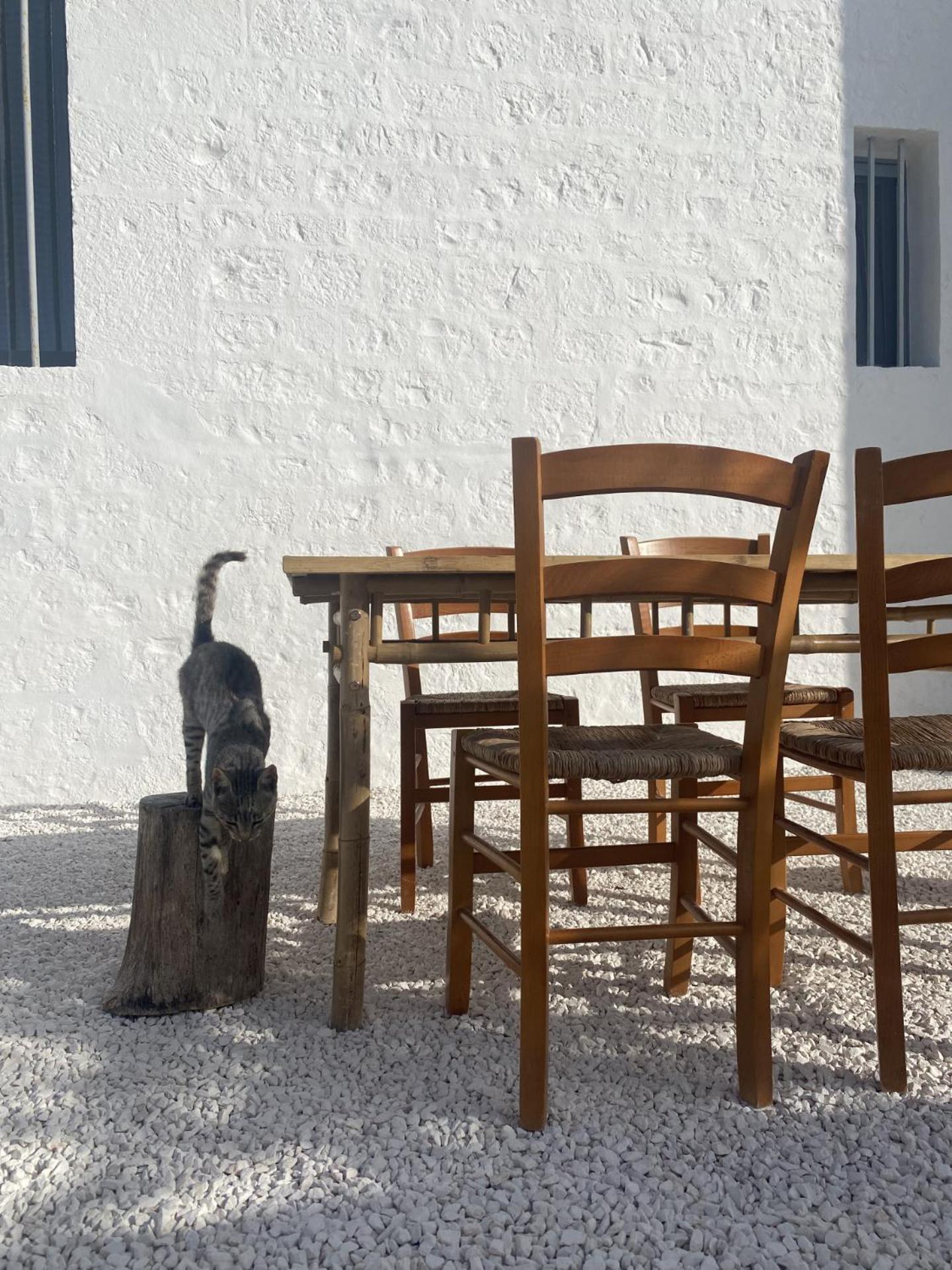 Ma'Bella - MASSERIA PICCOLA by Rentbeat