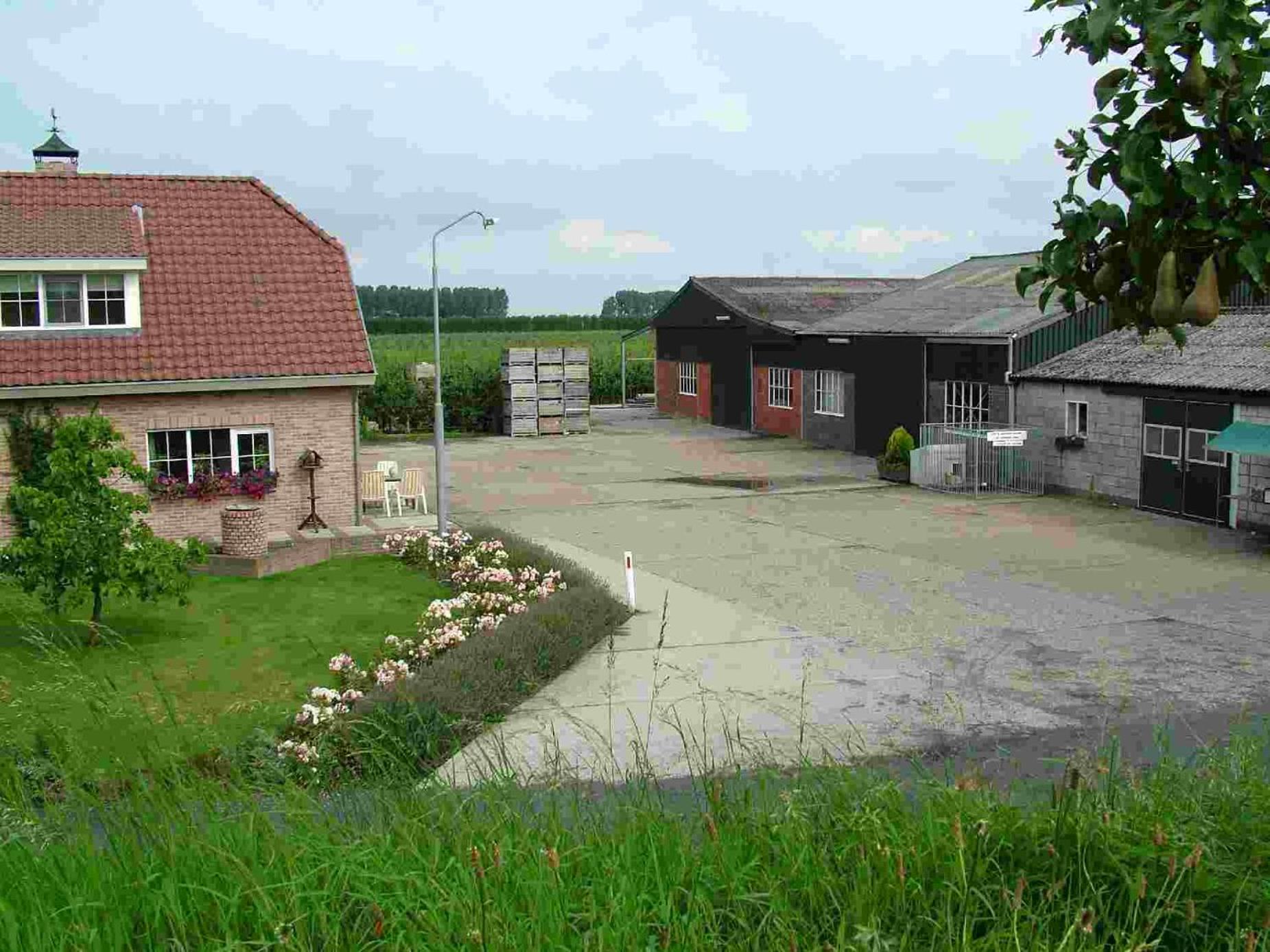 Photo 20