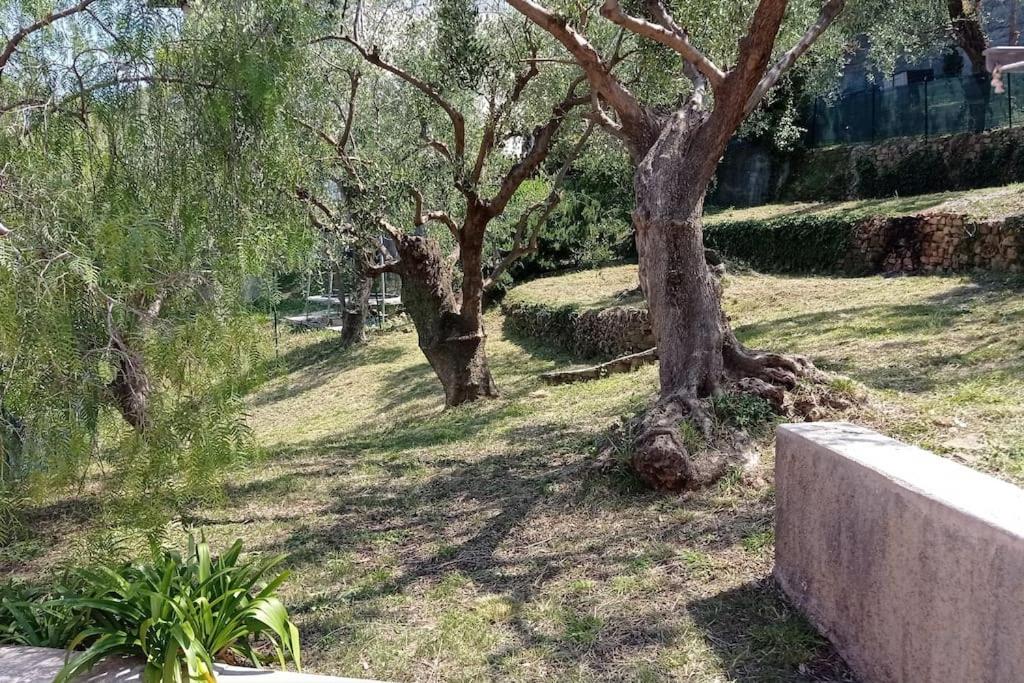 Casa Anna Lucia