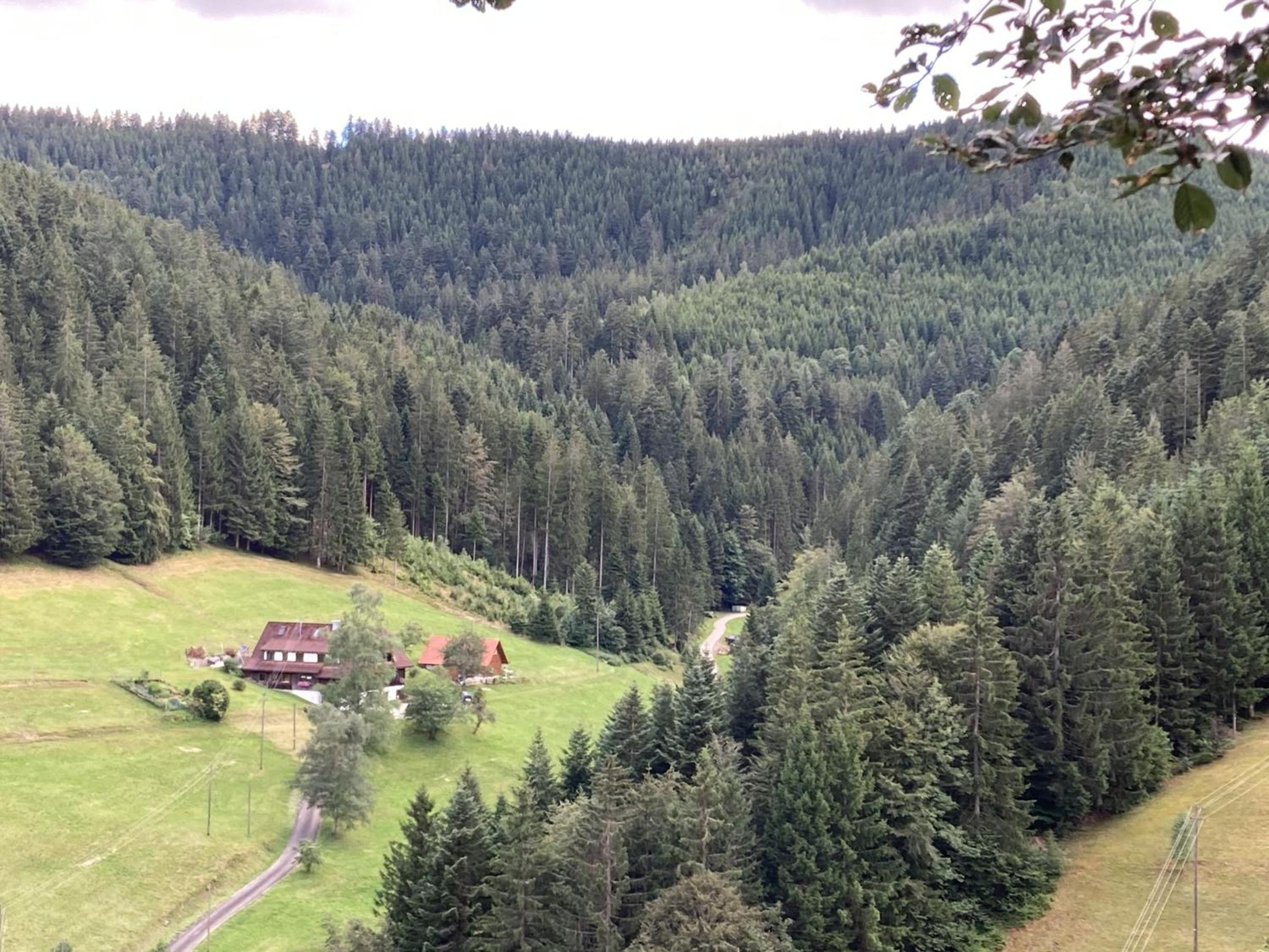 Appart Herzglück