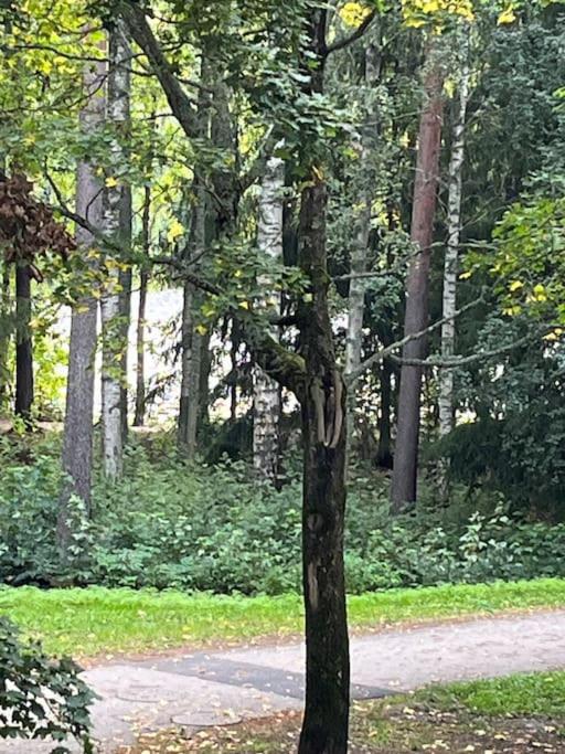 Hyvällä sijainnilla iso kaksio Hervannassa