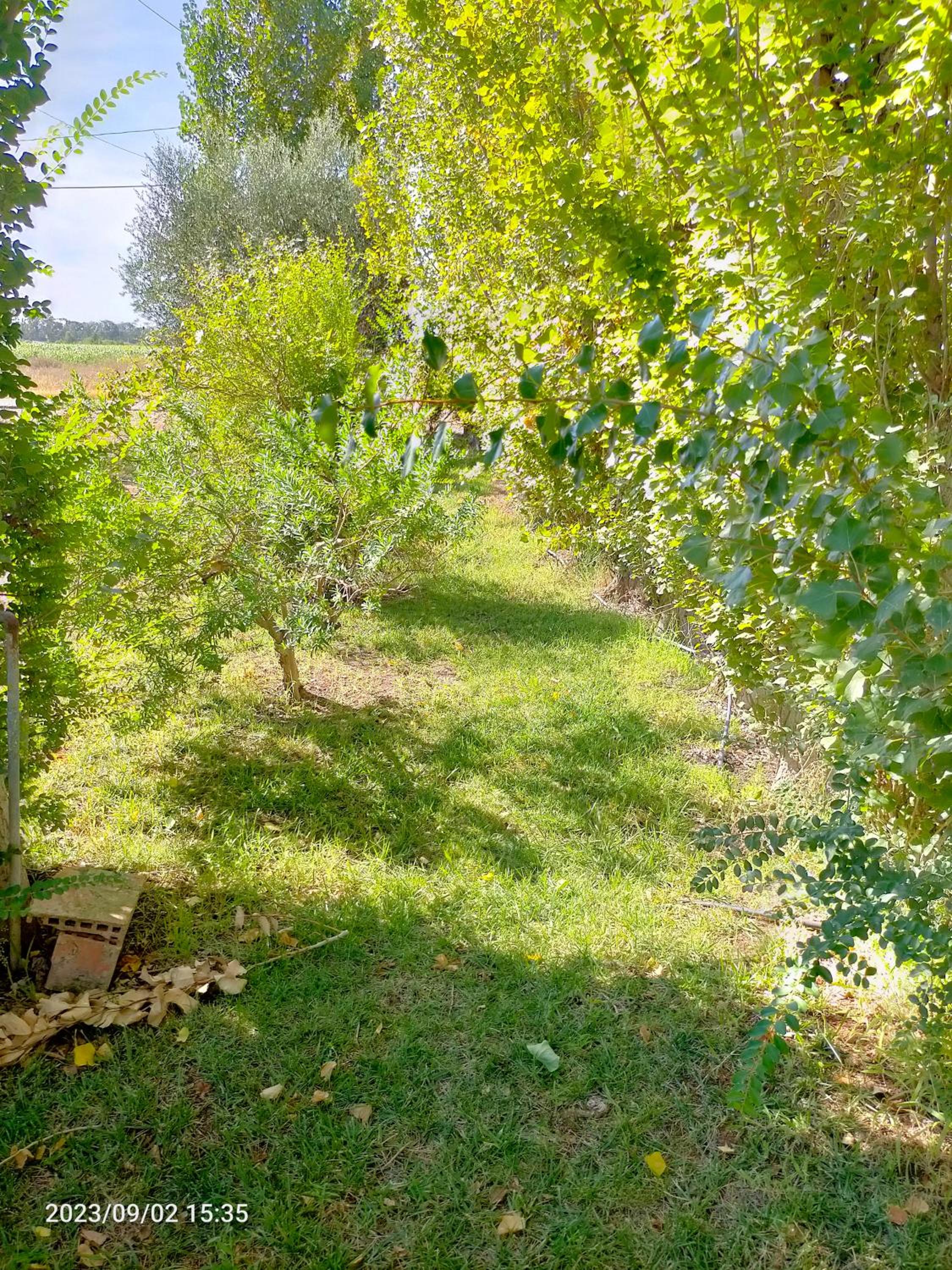 Photo 23