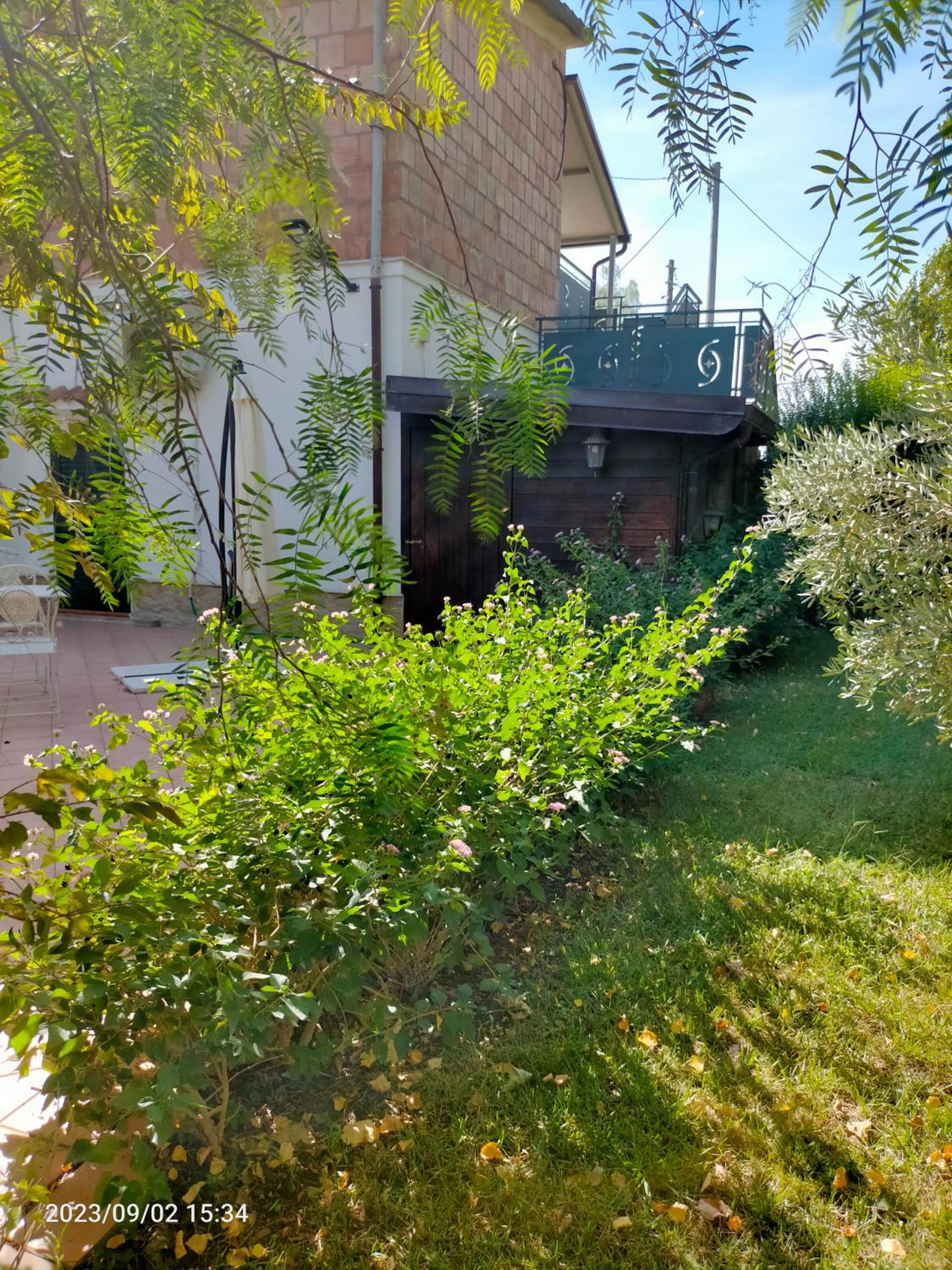 Photo 25