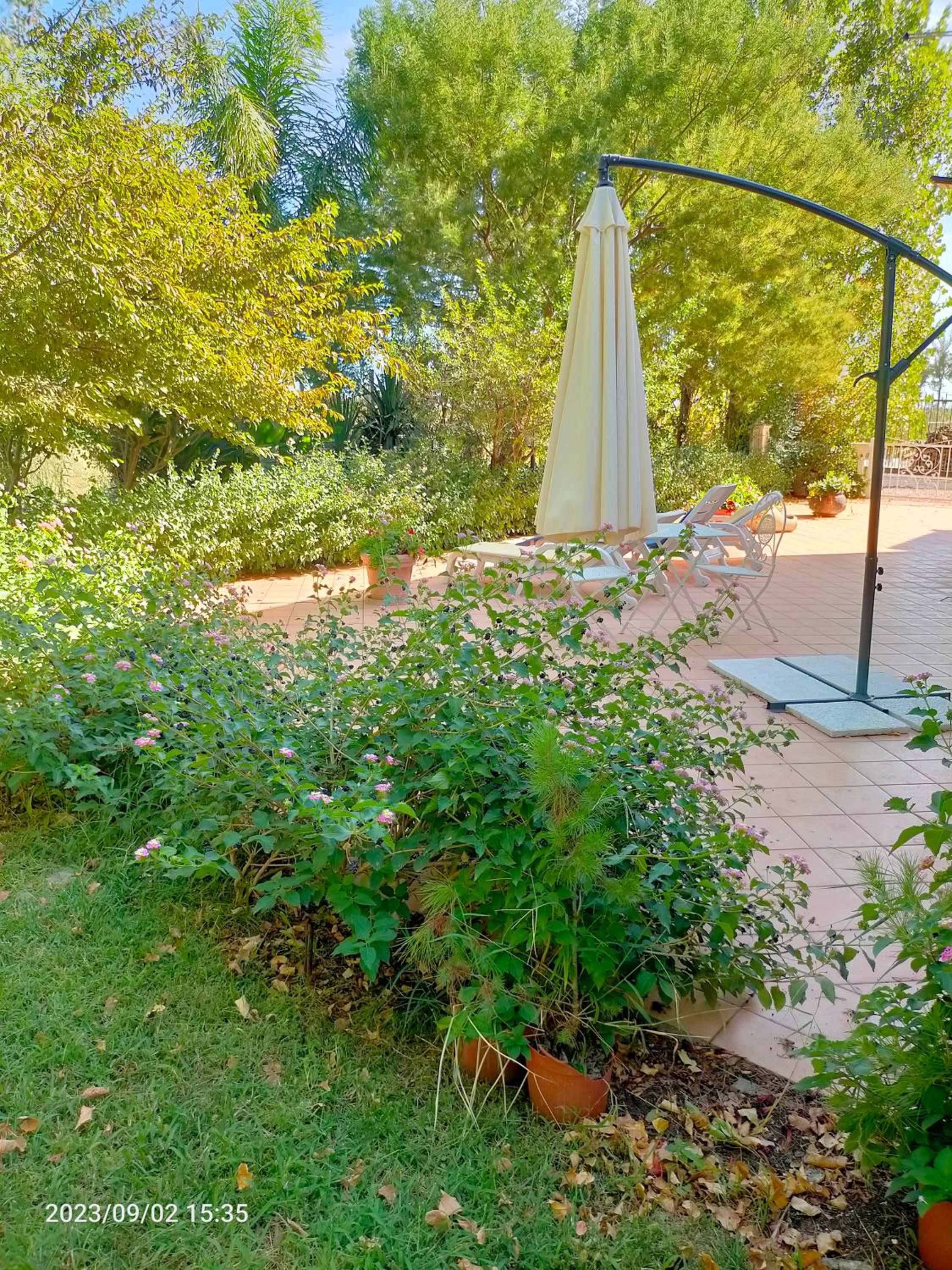 Photo 26