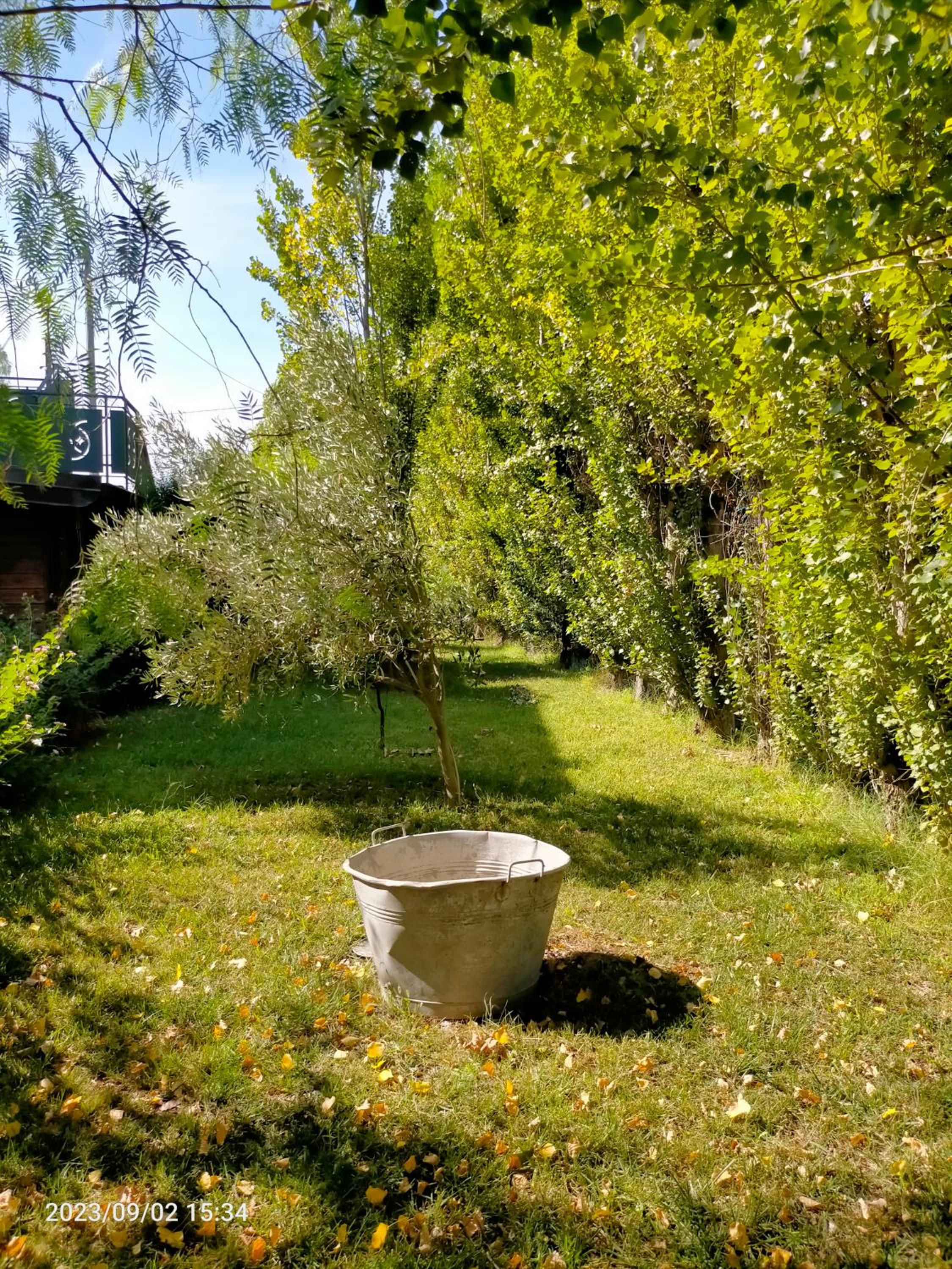 Photo 27