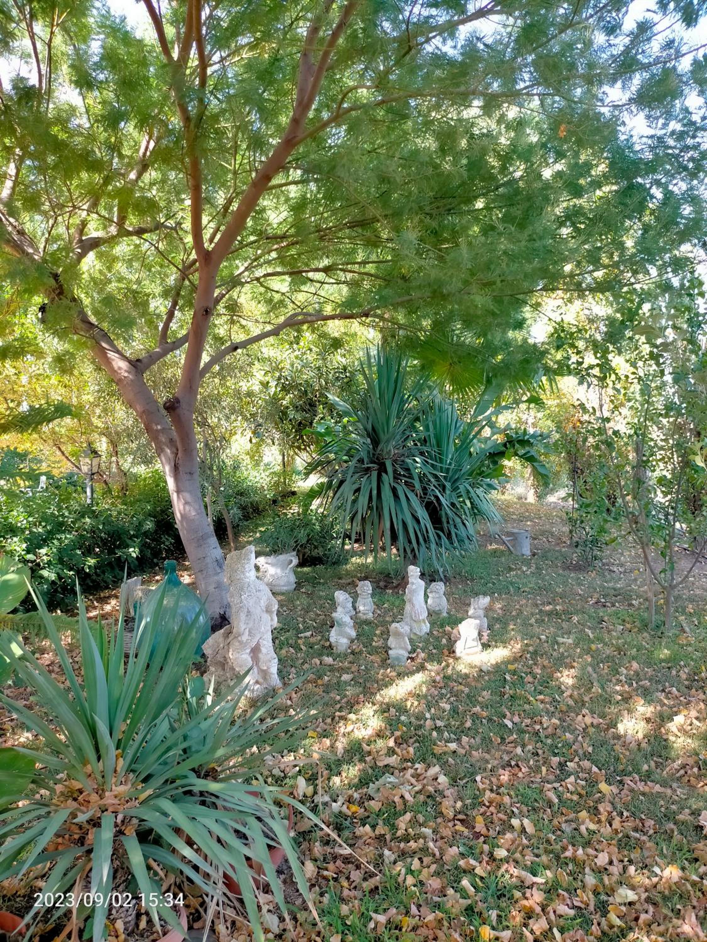 Photo 35