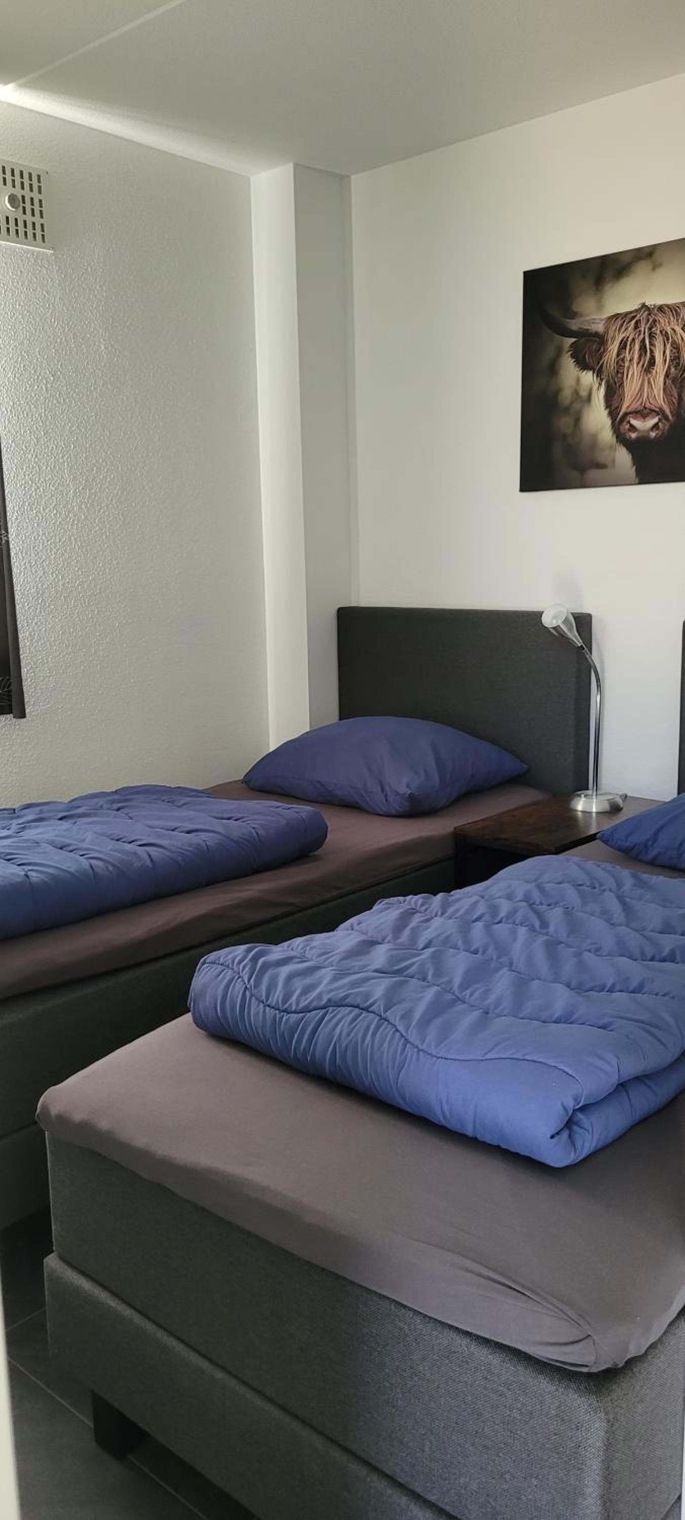 Vakantiehuis 6pers op park 't Broeckhuys in Ewijk groot Zwemplas in het land van Maas & Waal niet voor arbeidsmigranten view 4