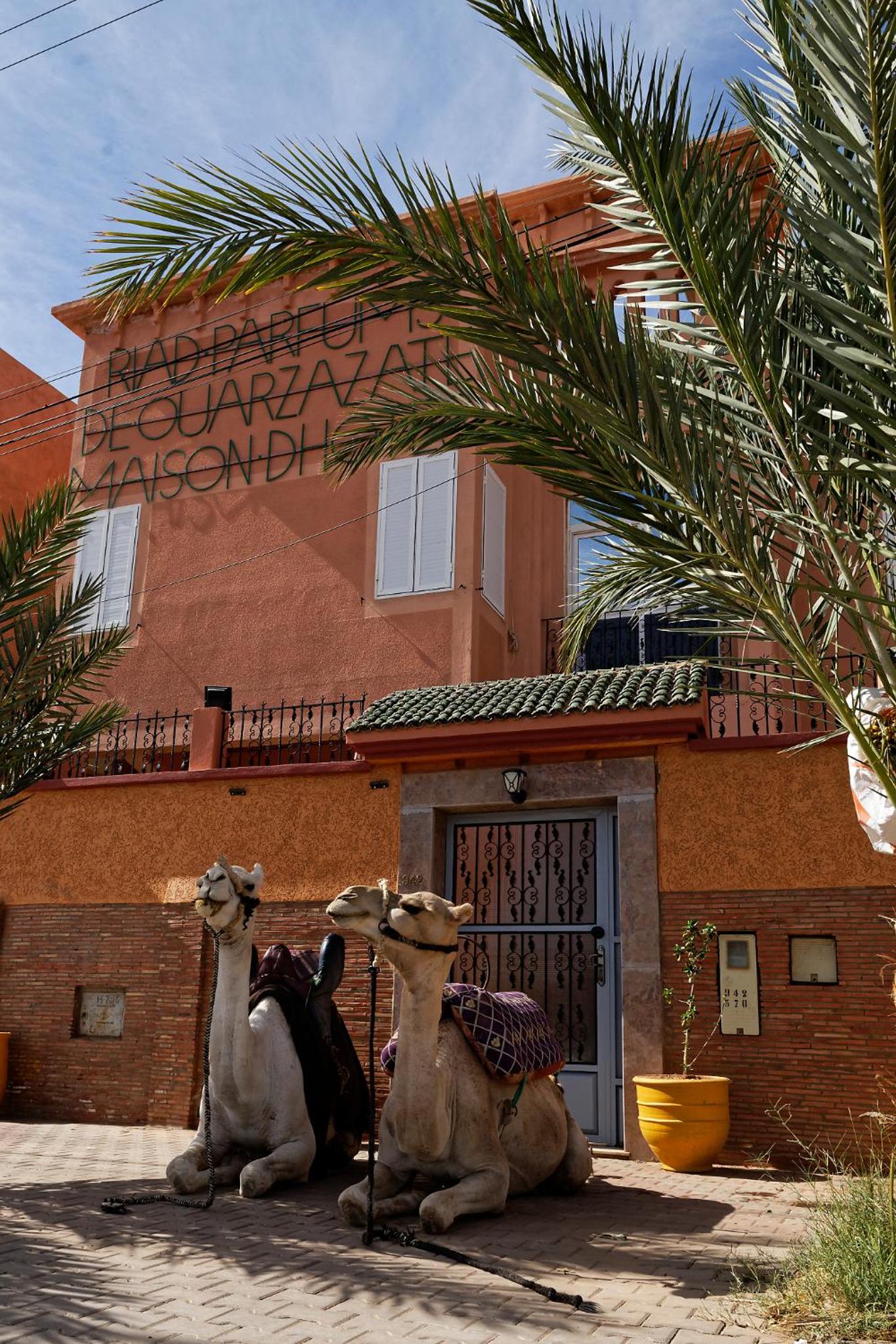 Hotel Riad Parfums de OUARZAZATE - Image 1