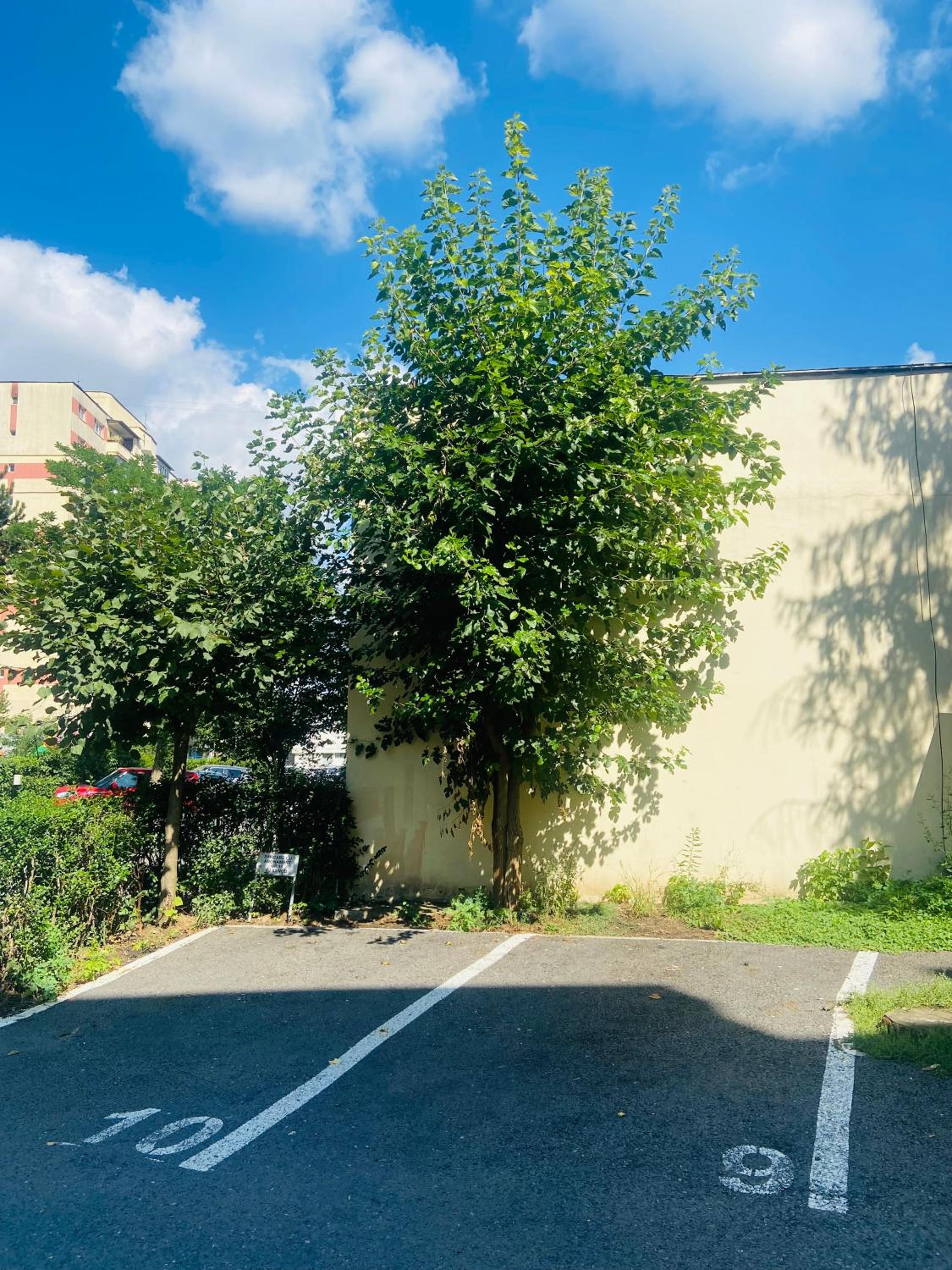 parking