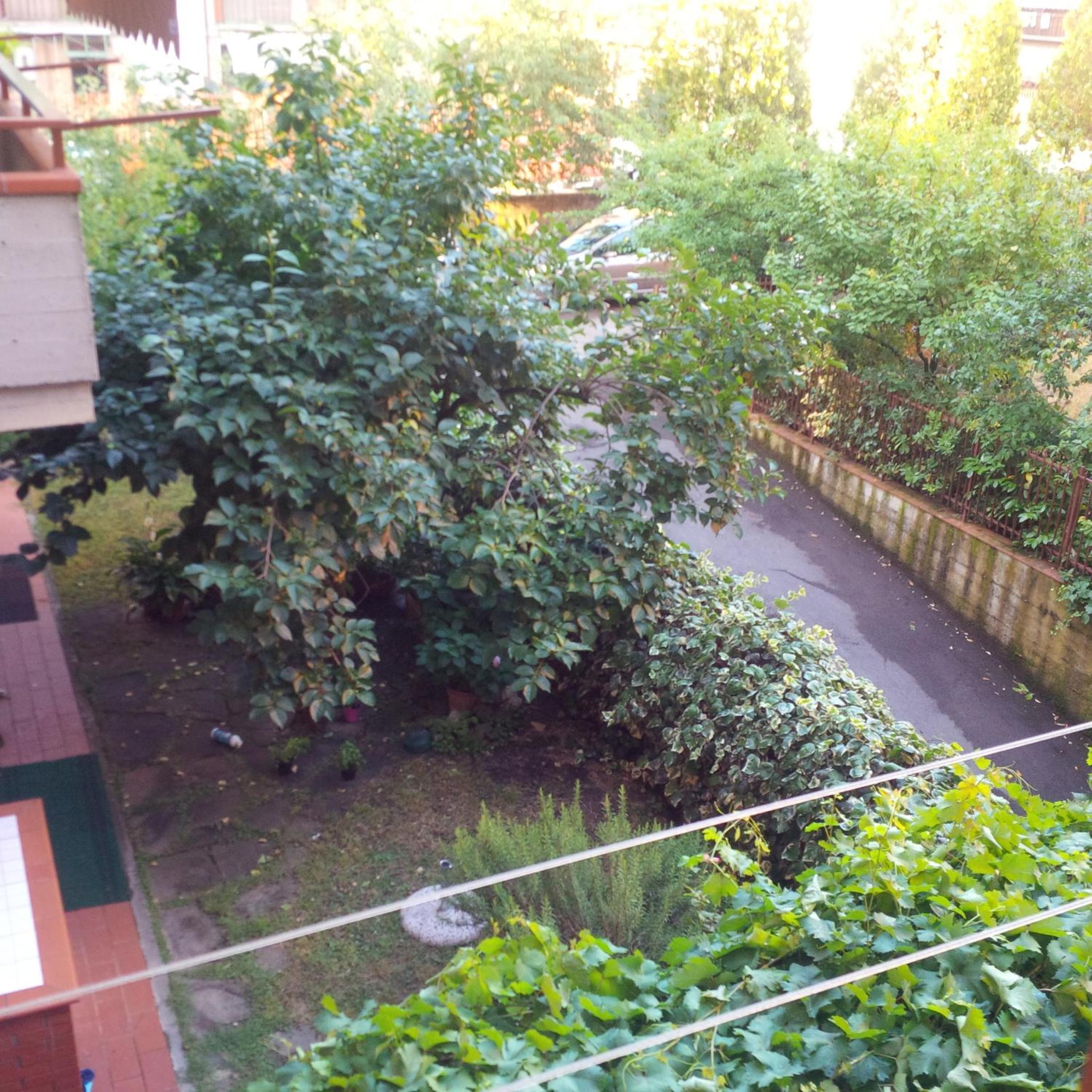 Casa Venturi view 5