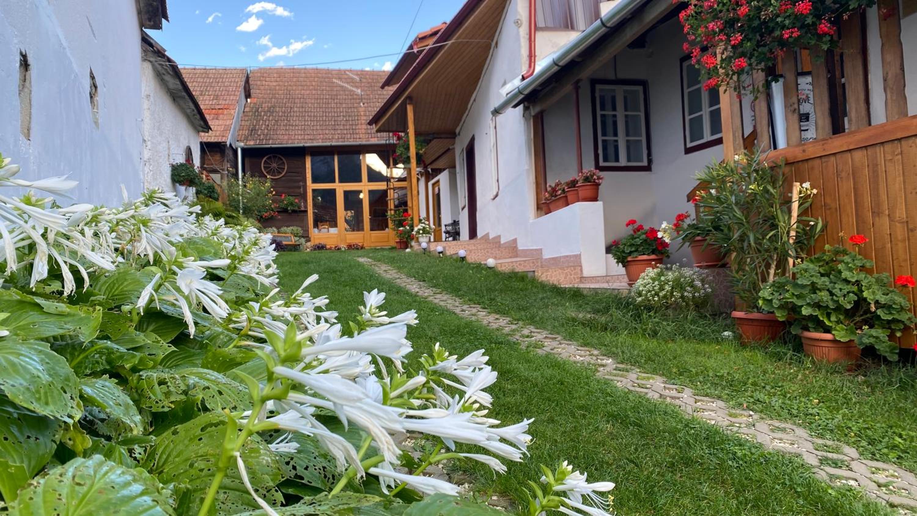 Casa Kelemen Irén view 3