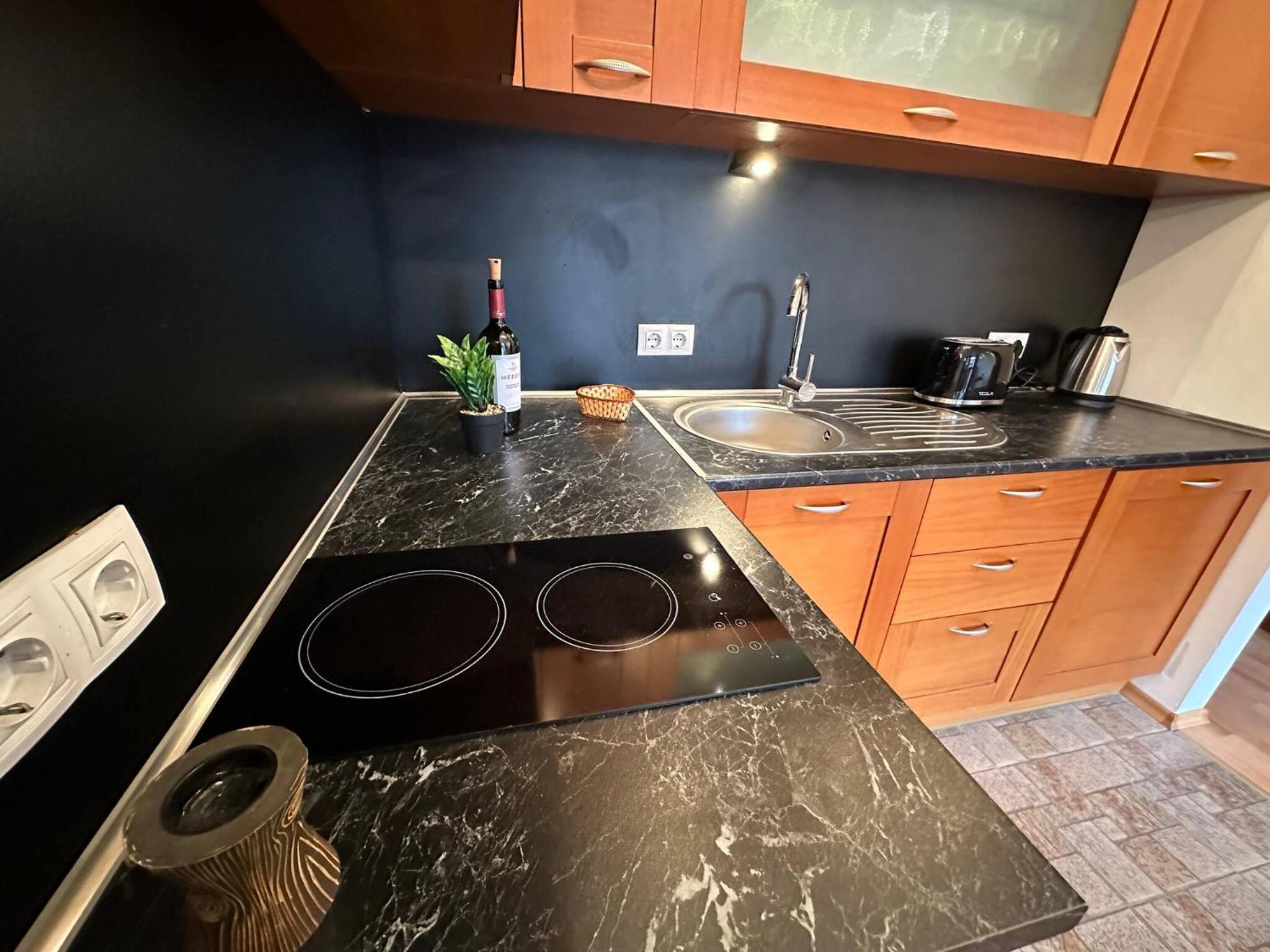 South Facing Bright Mountain View Penthouse - 2 balconies, 300mbps WIFI, washer