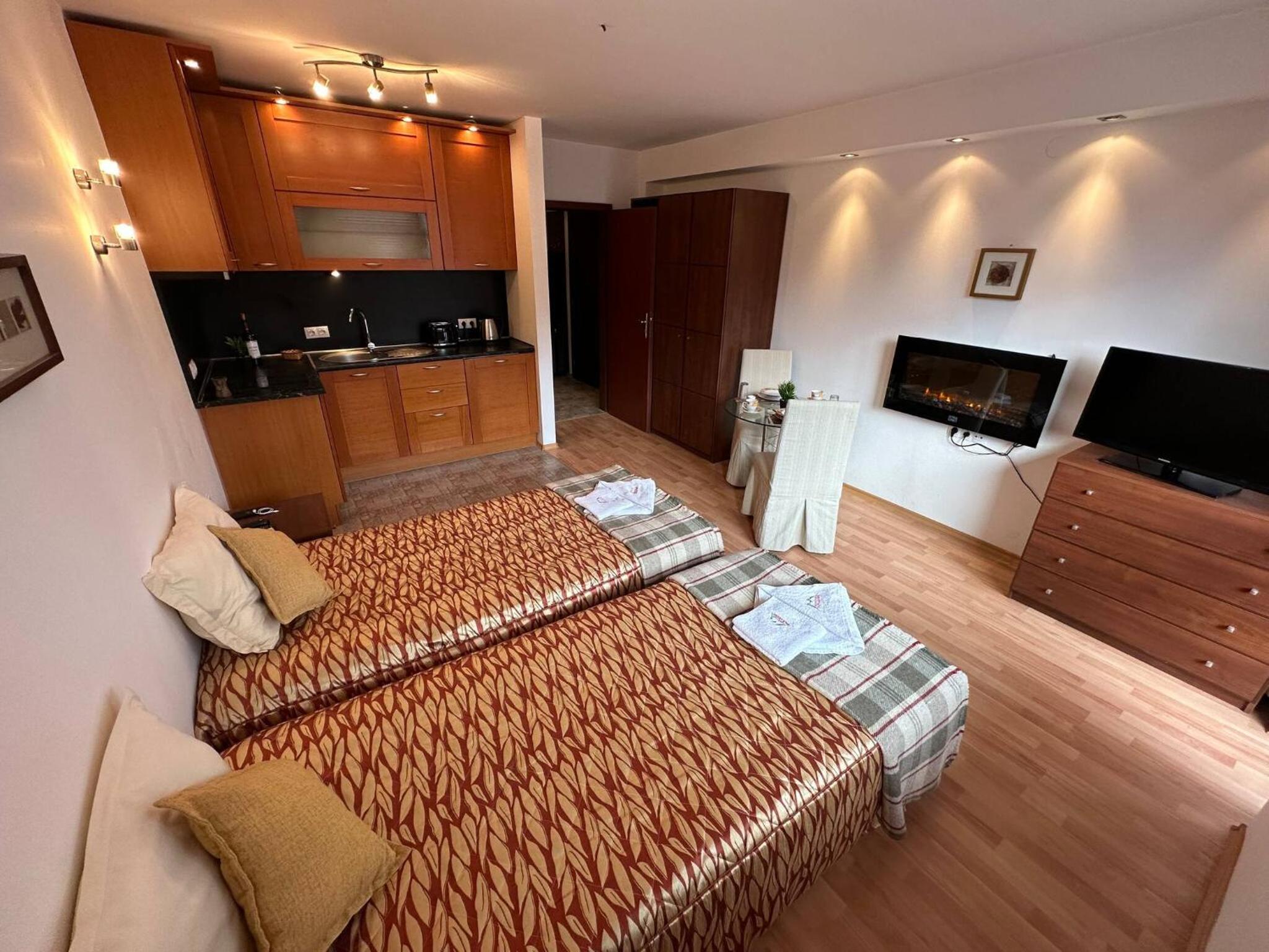 South Facing Bright Mountain View Penthouse - 2 balconies, 300mbps WIFI, washer