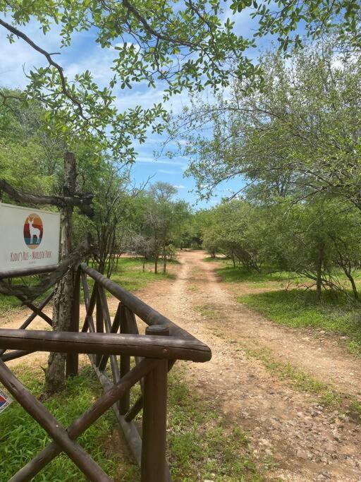 Kudu's Rus in Marloth Park view 2