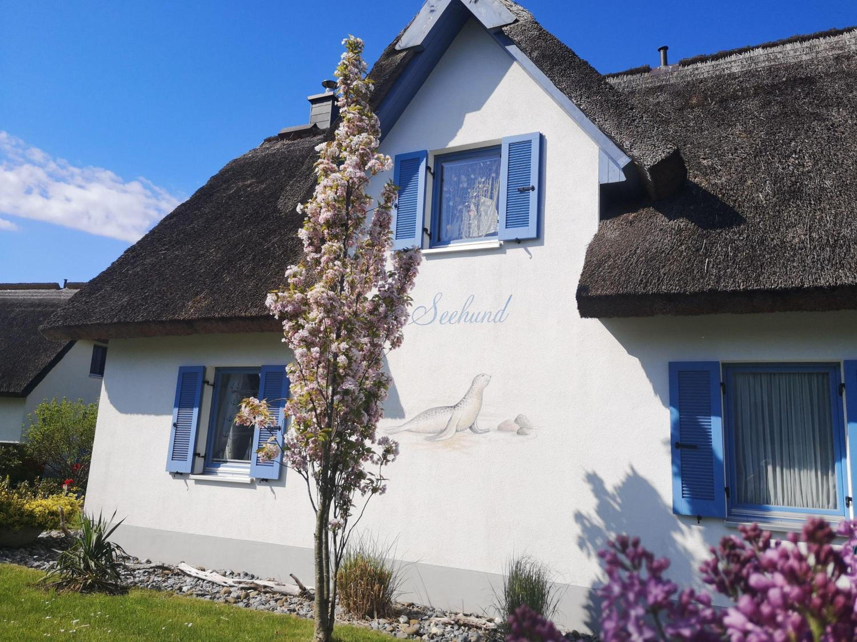 Ferienhaus-Seehund
