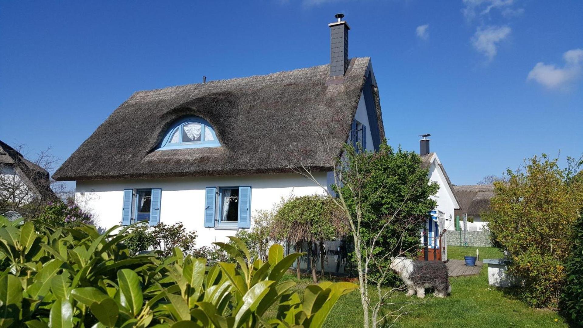 Ferienhaus-Seehund
