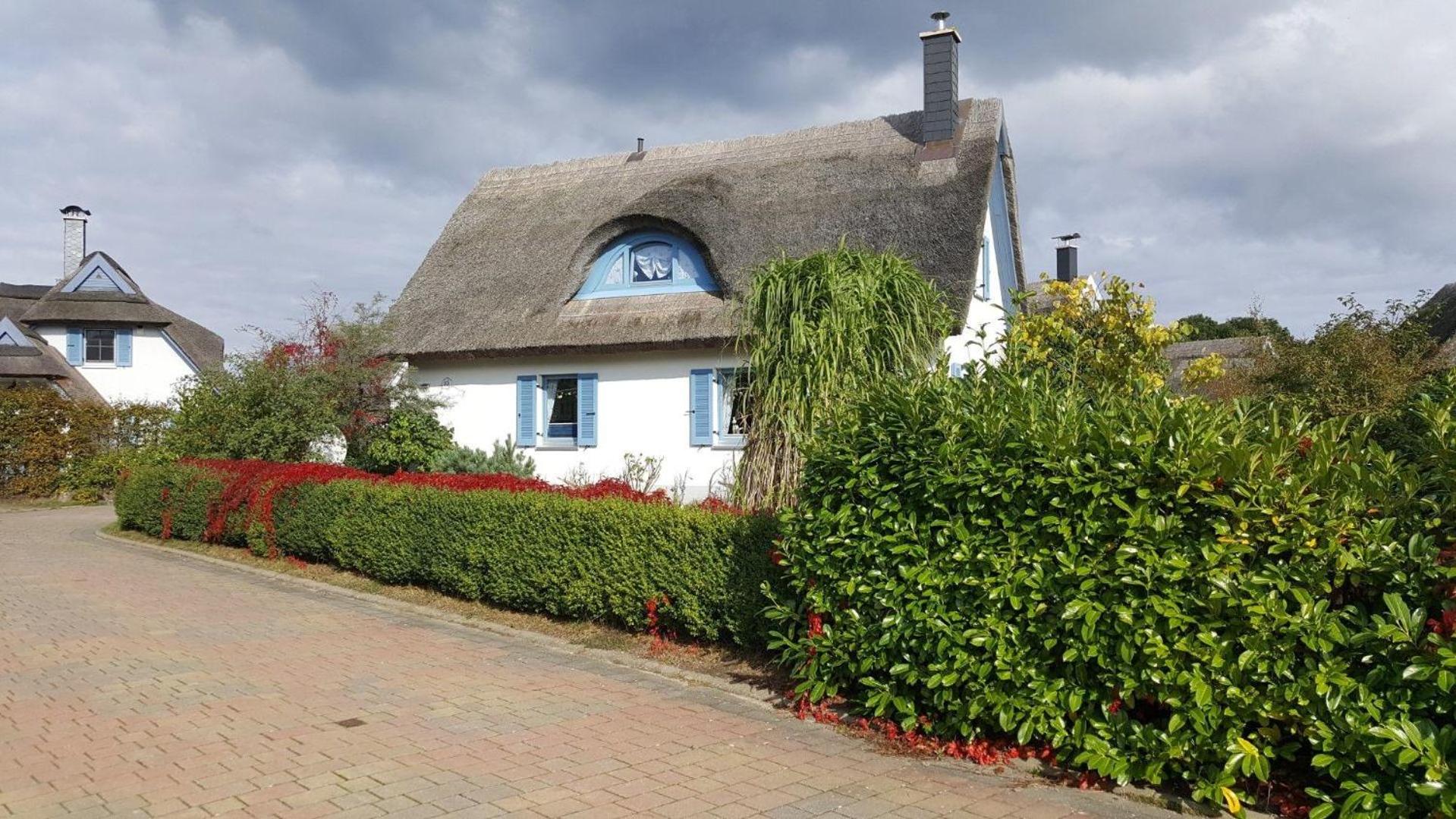 Ferienhaus-Seehund