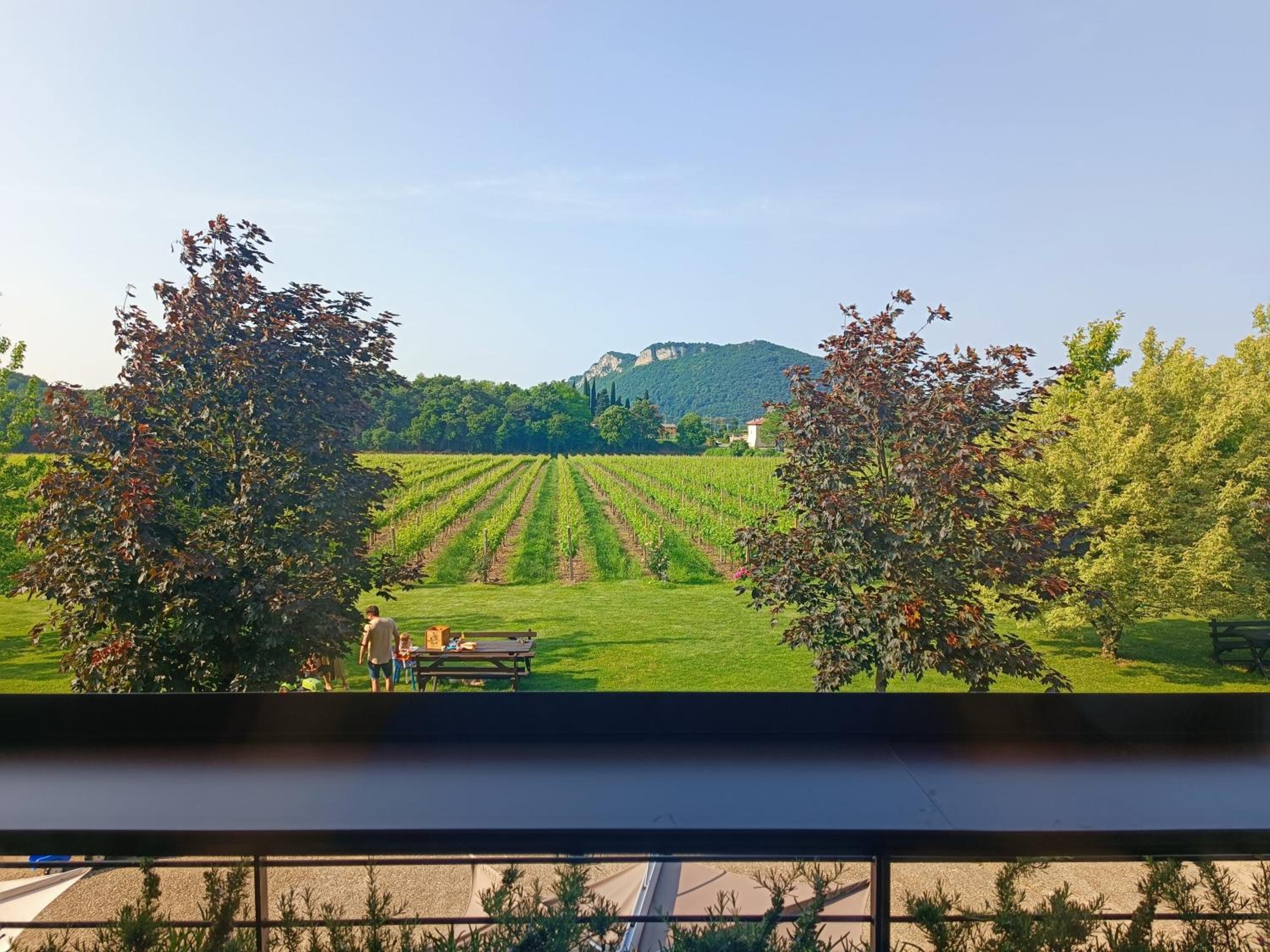 Agri-Resort Corte Patrizia - Wellness view 4