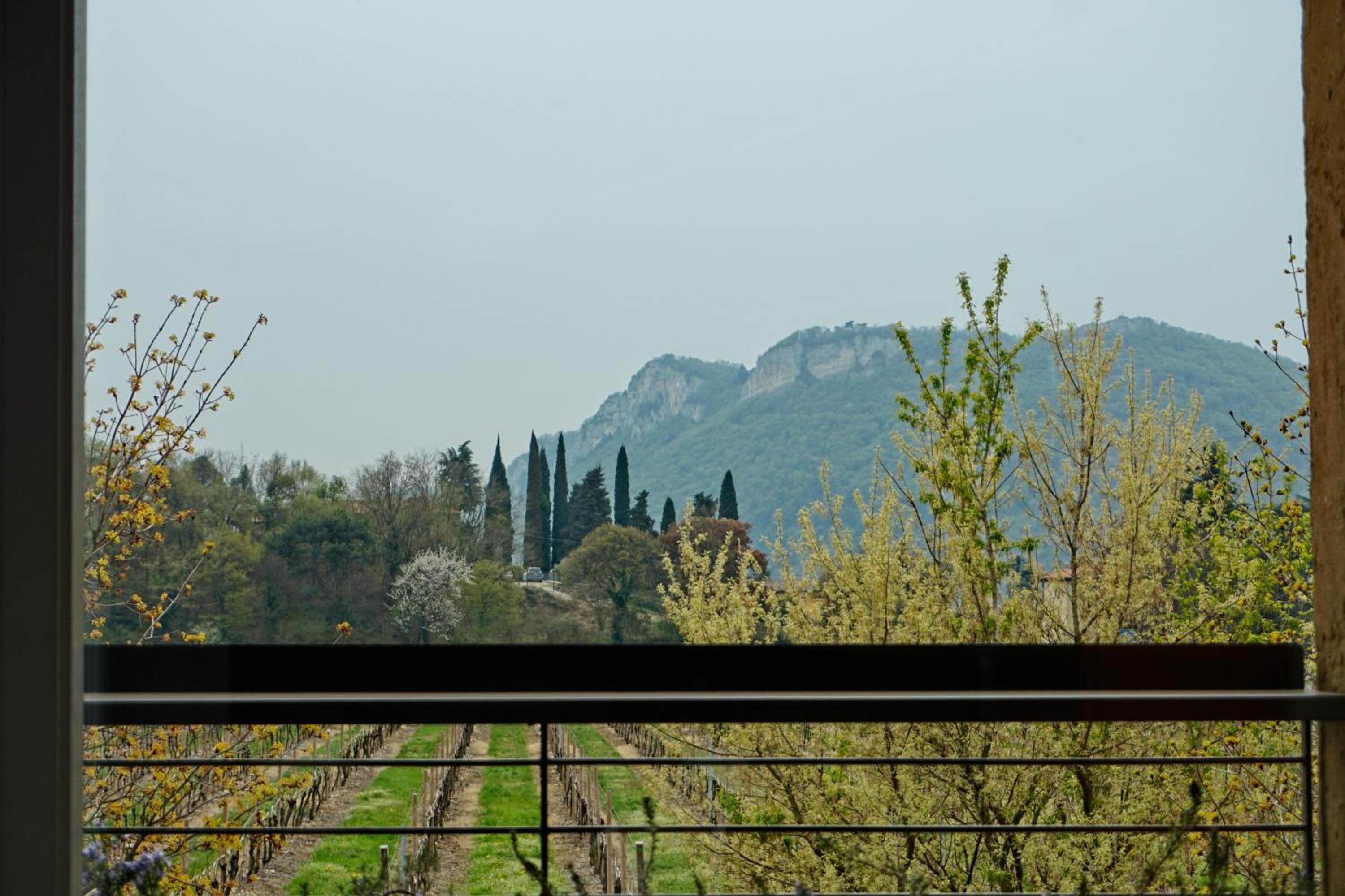 Photo 61