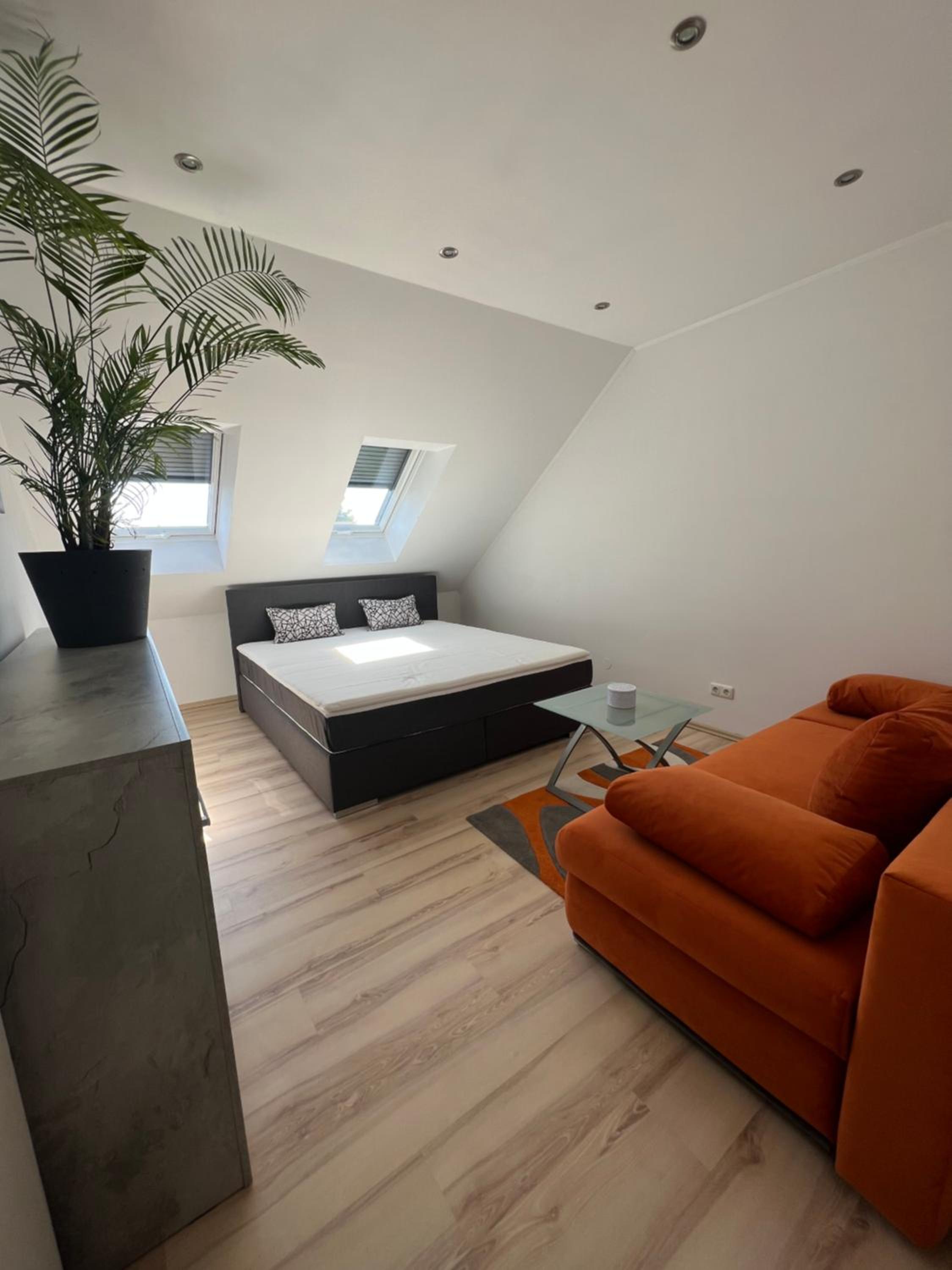 Remus Haus