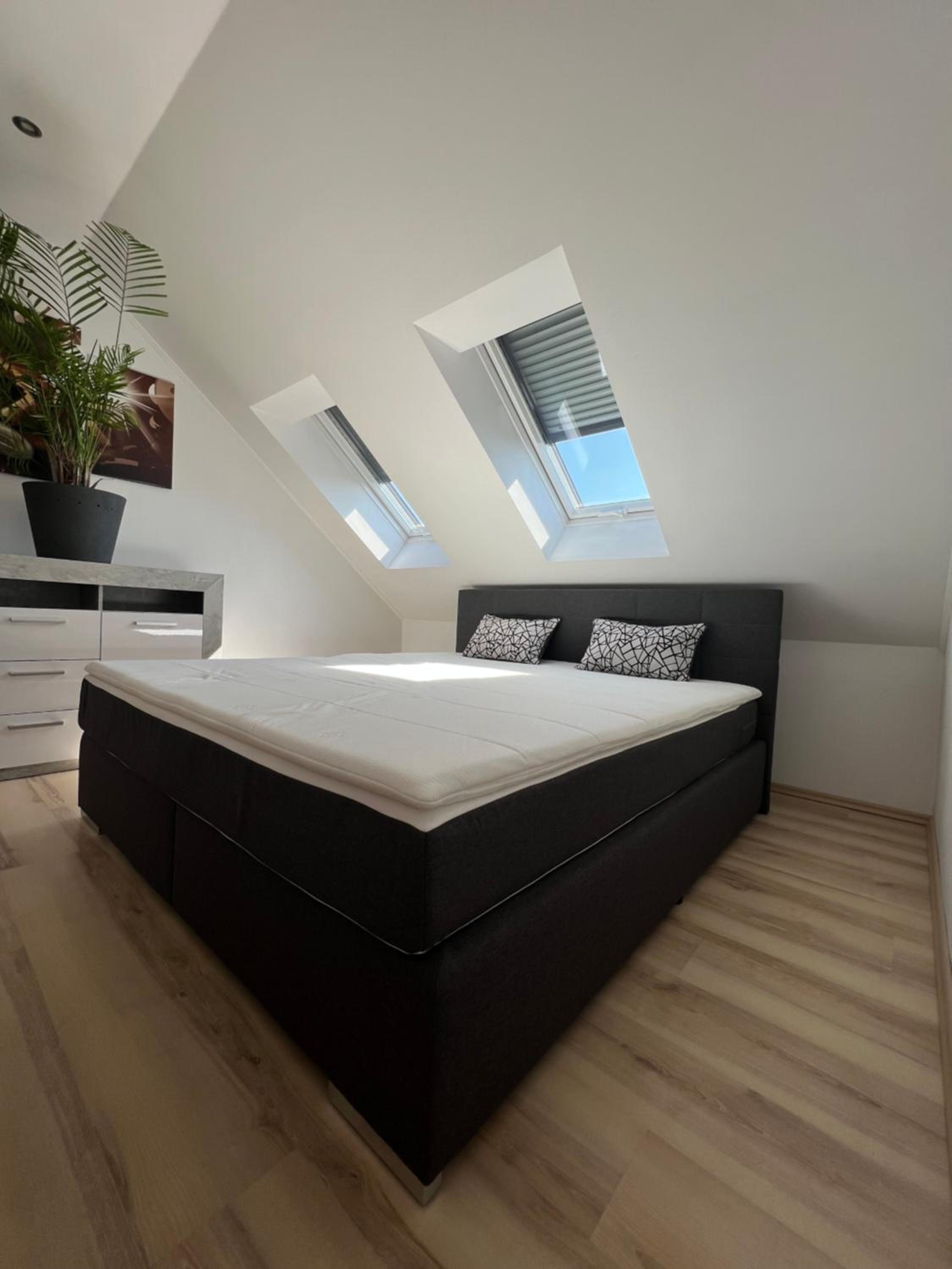 Remus Haus