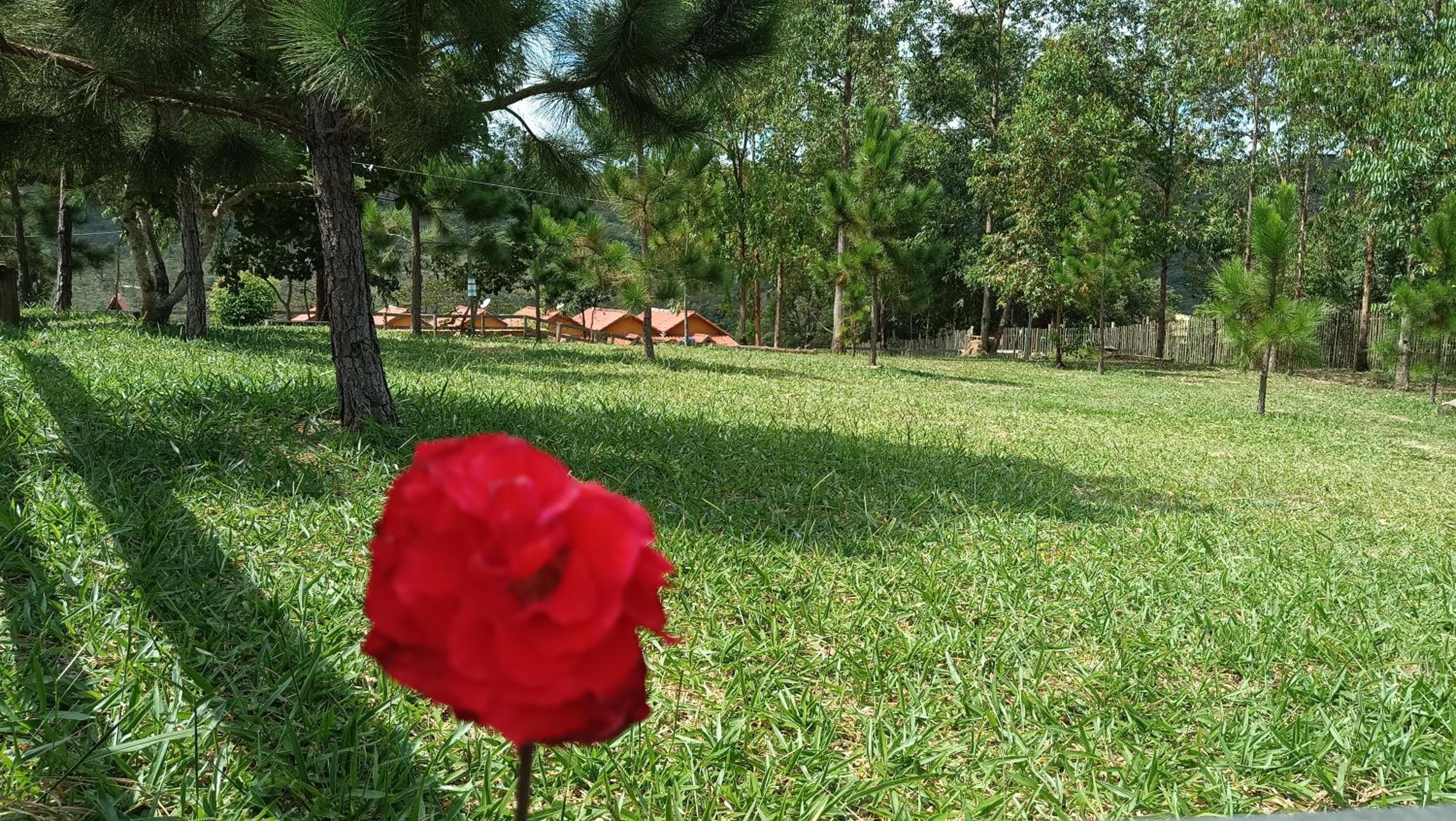 Chalés e Camping do Robinho 1