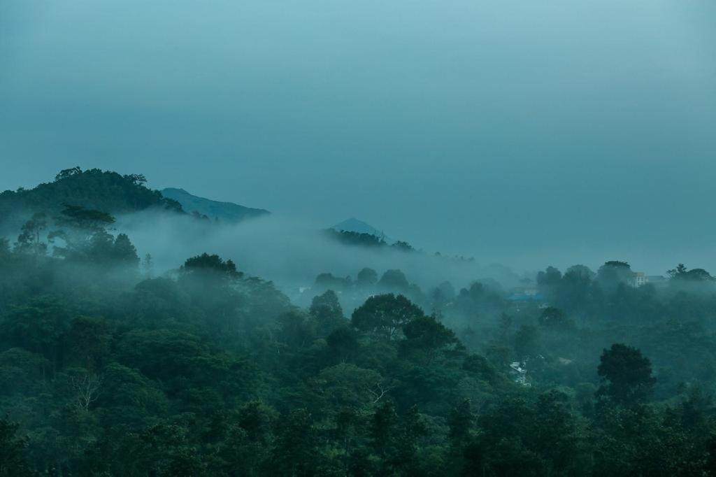 vythiri valley vibes
