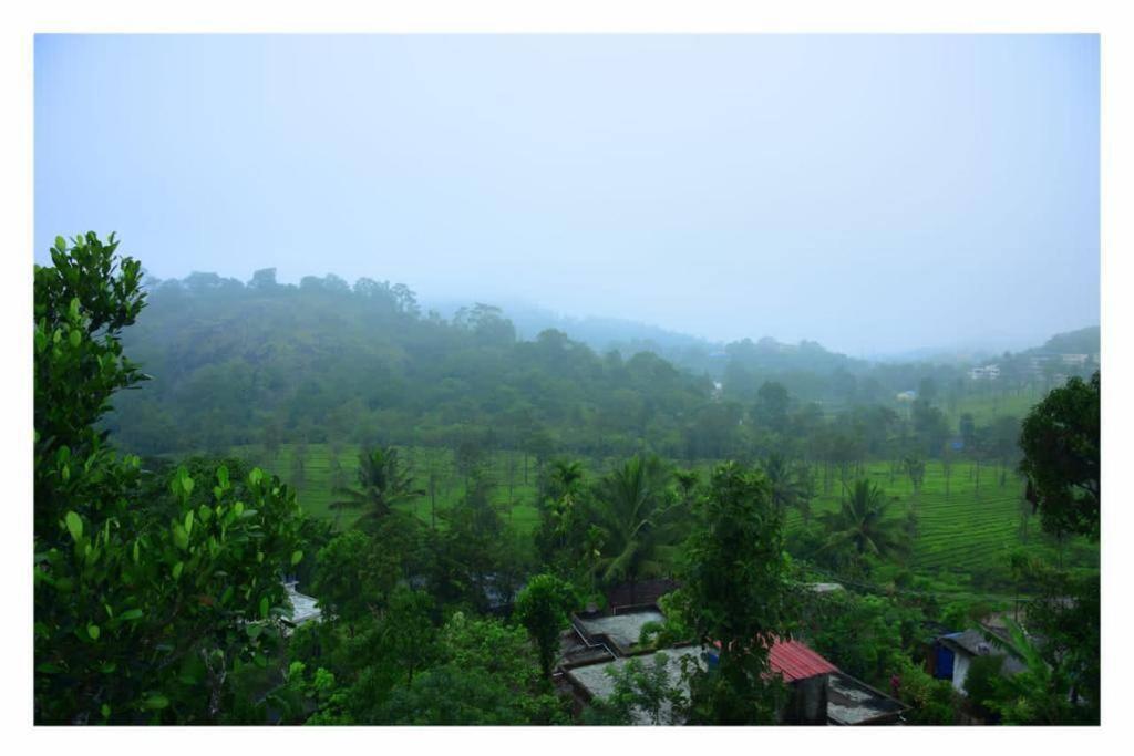 vythiri valley vibes