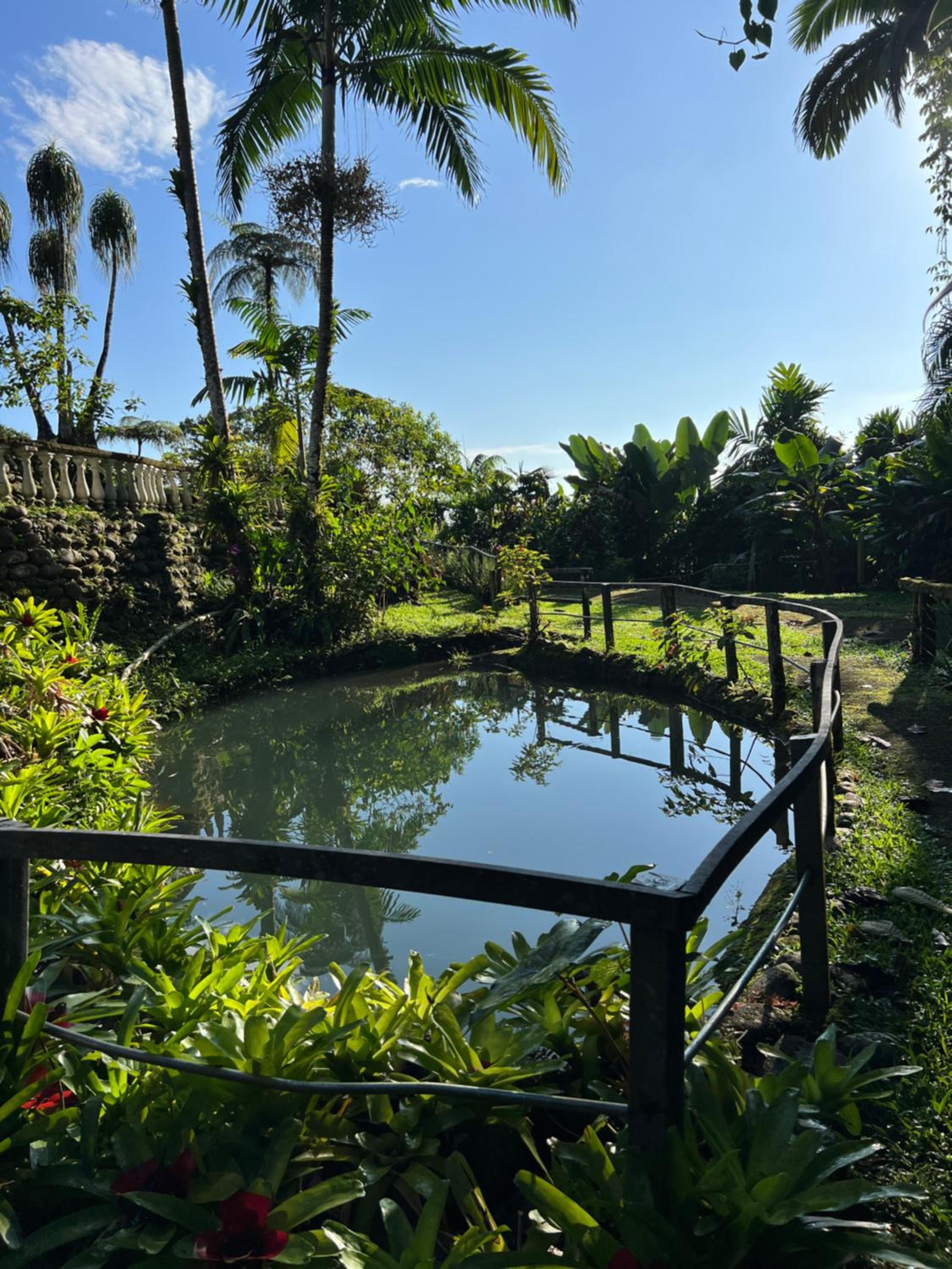 Botanica Gardens and Eco Lodge