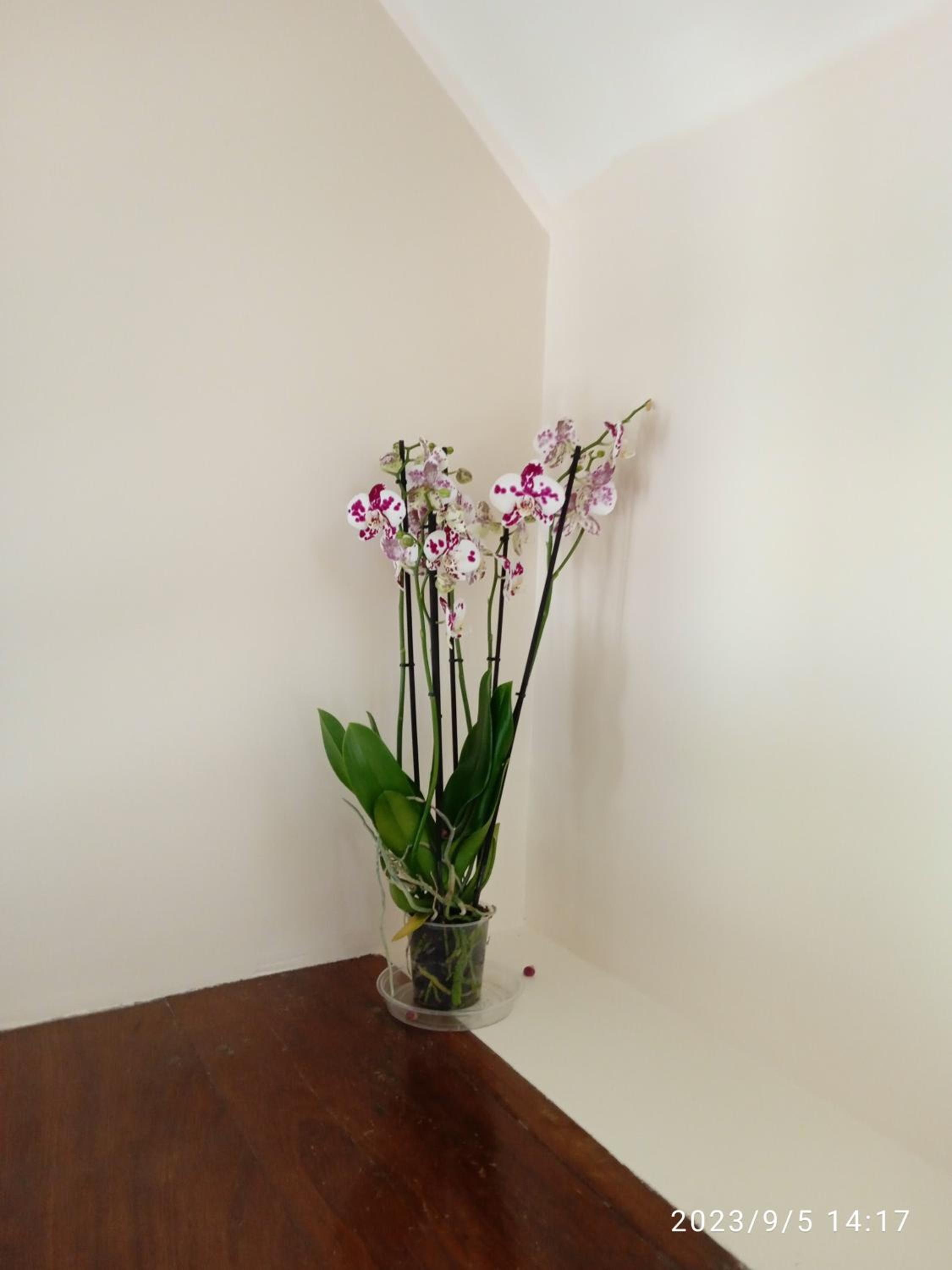 Nire Valley Cottage