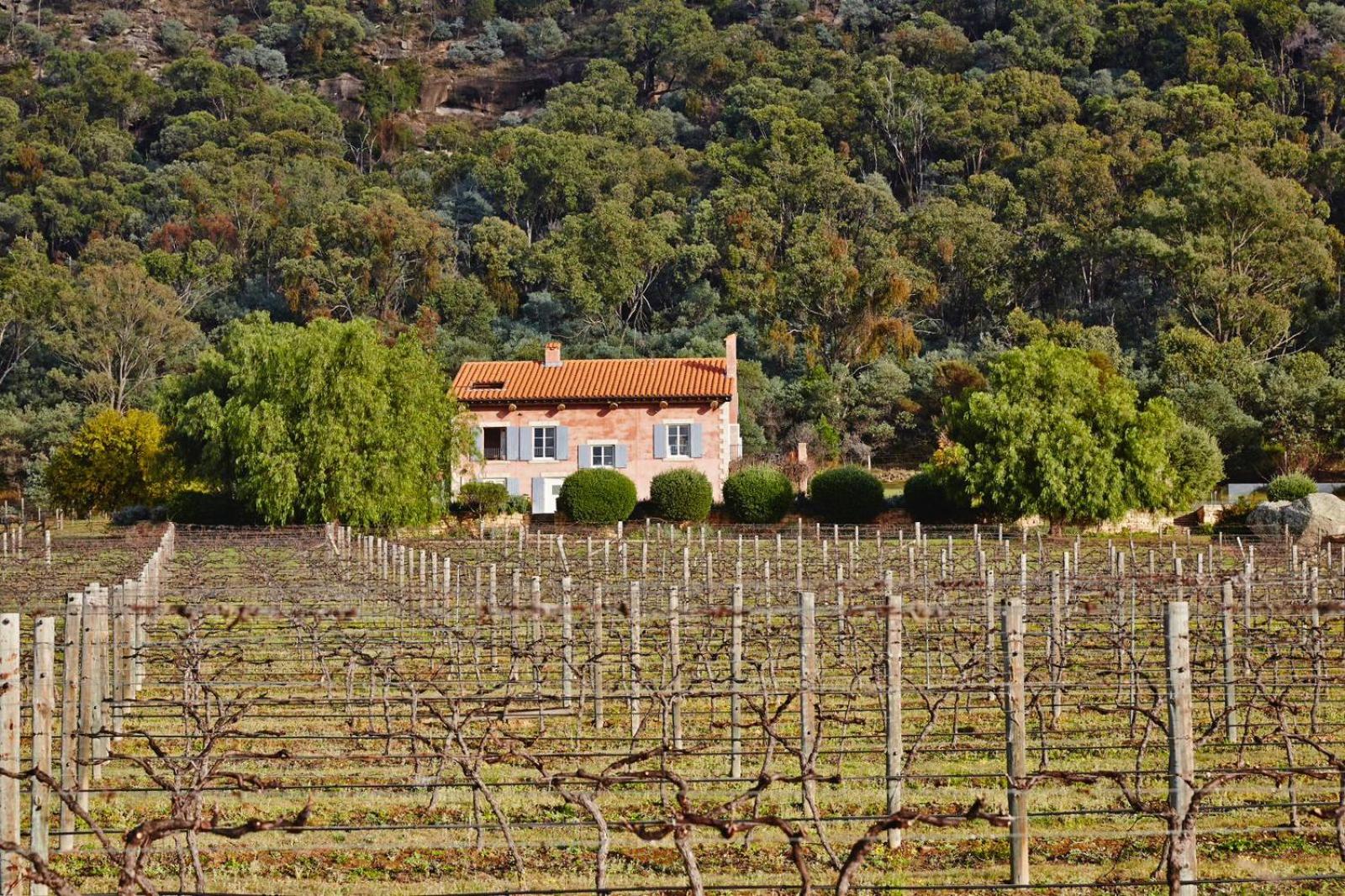 Talits Estate Vineyard