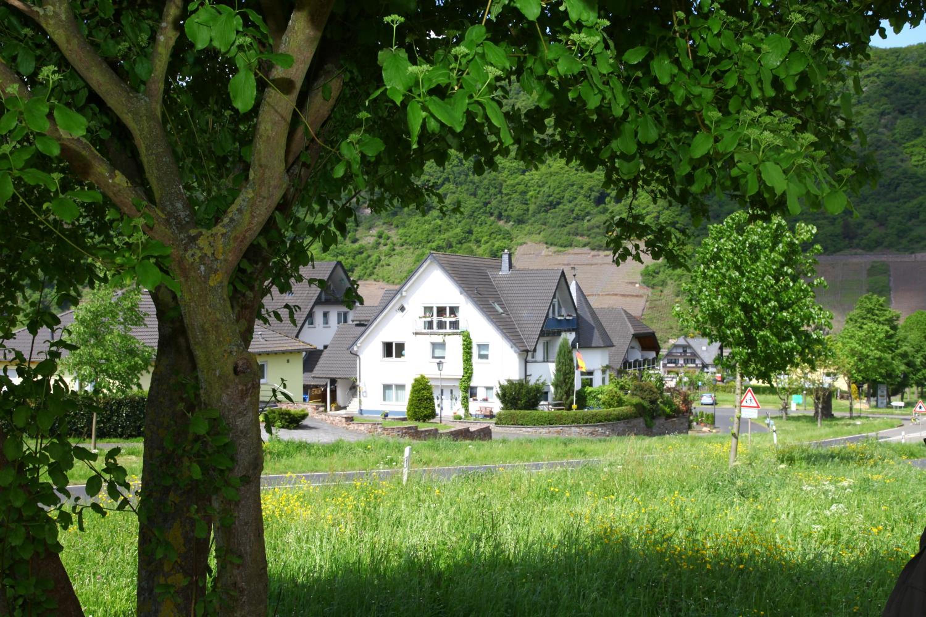 Photo 41