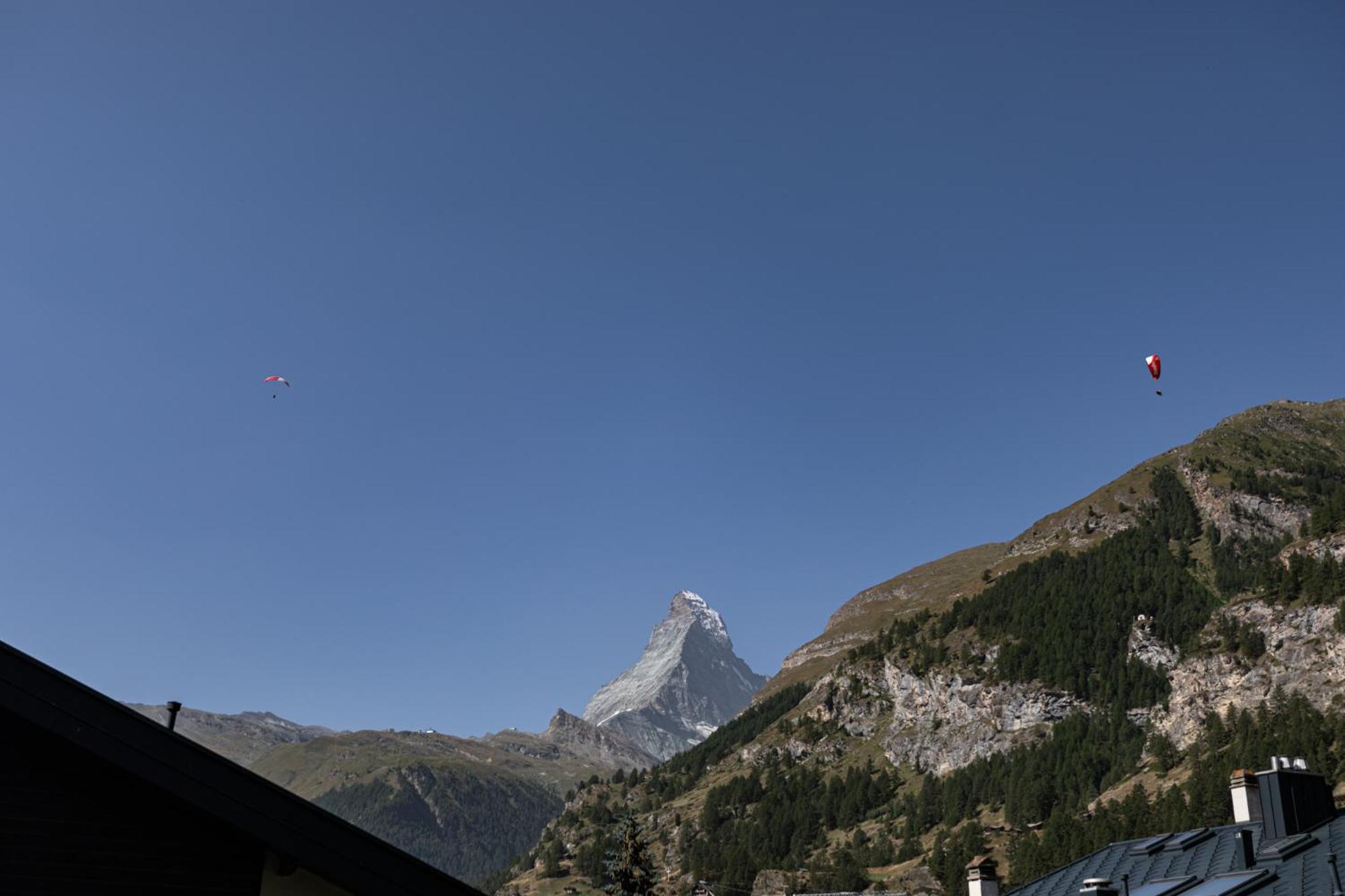 Joy - Matterhorn view