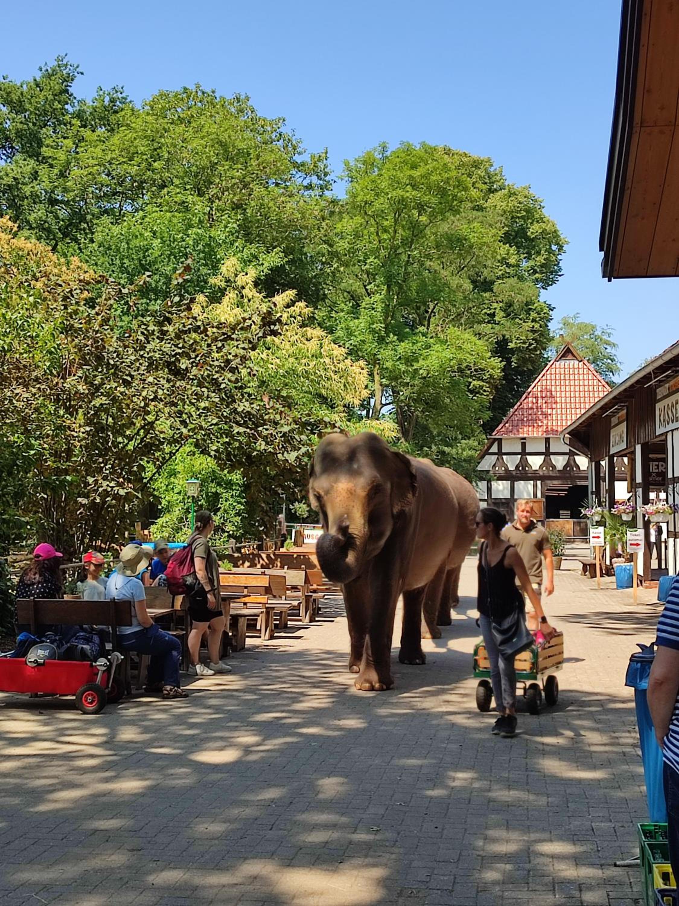 Tierpark Entdeckerhäuser