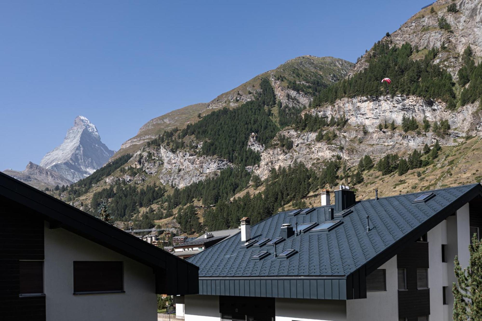 Joy - Matterhorn view