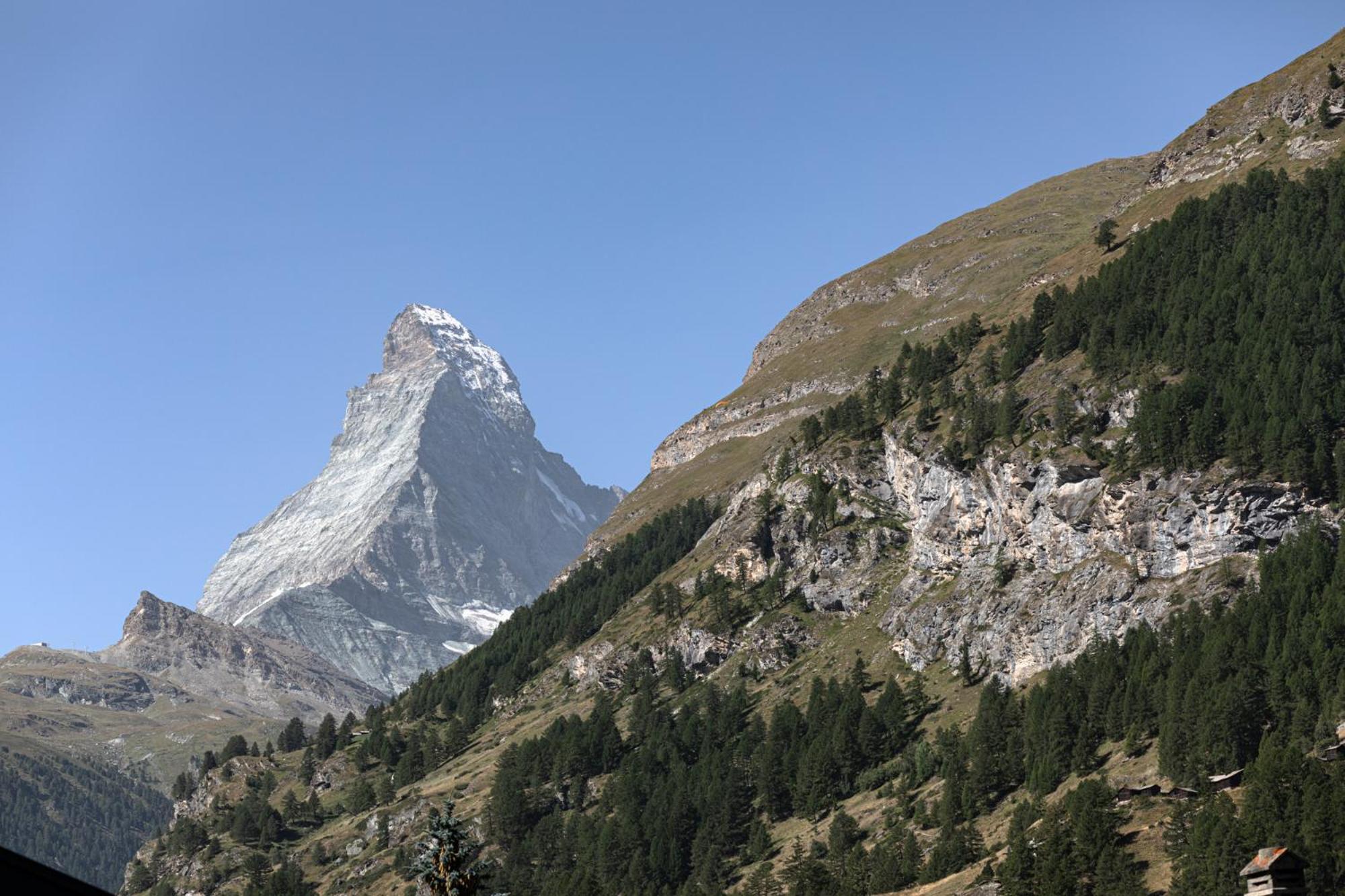 Joy - Matterhorn view