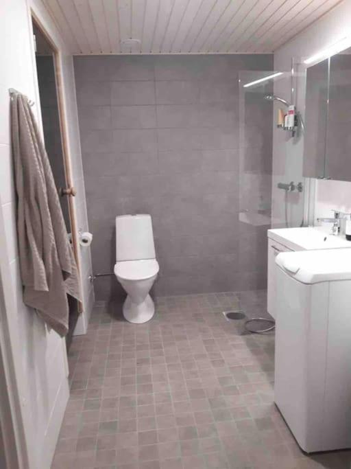 Levi Holiday home Poroileville