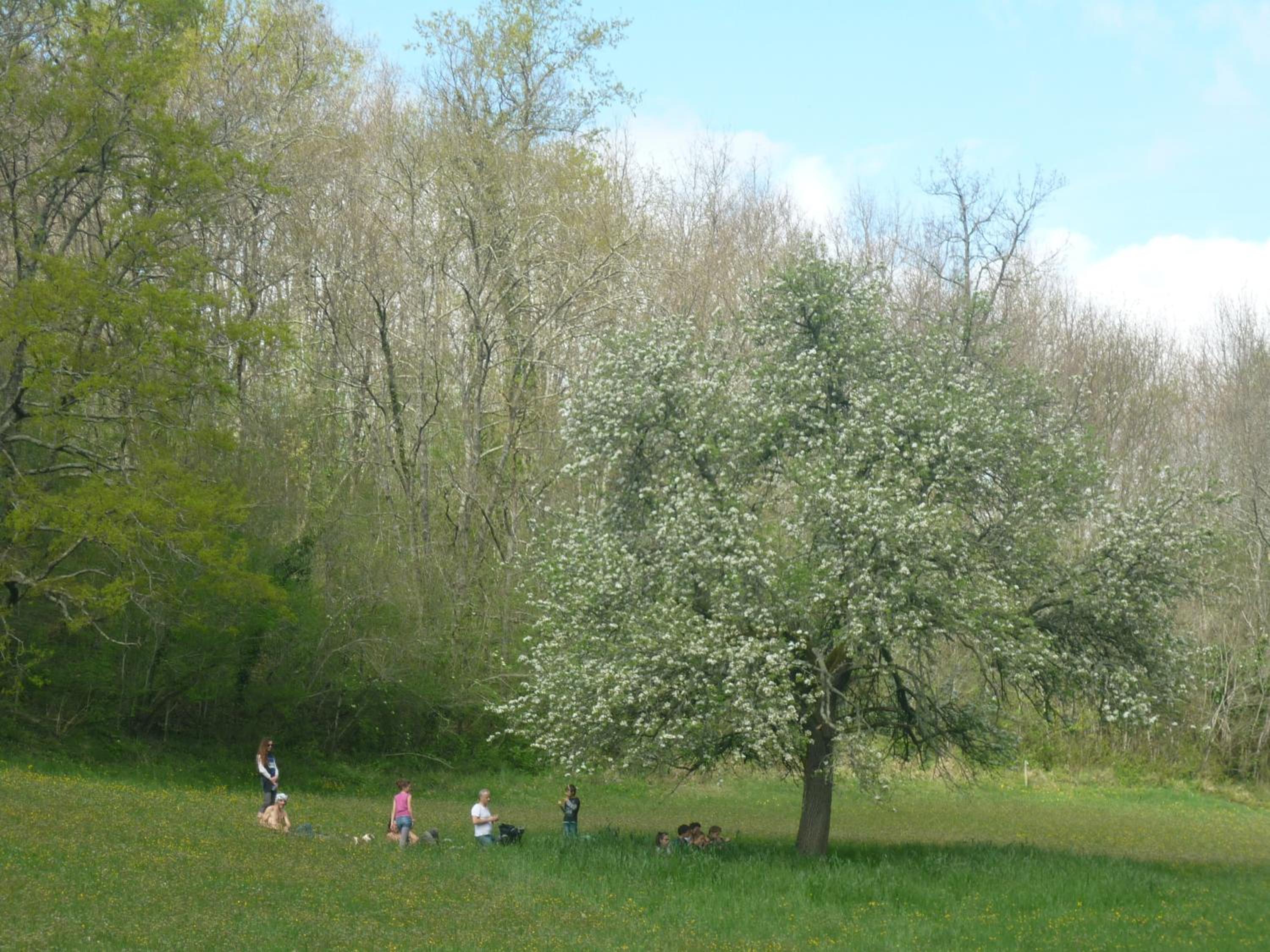 Photo 42