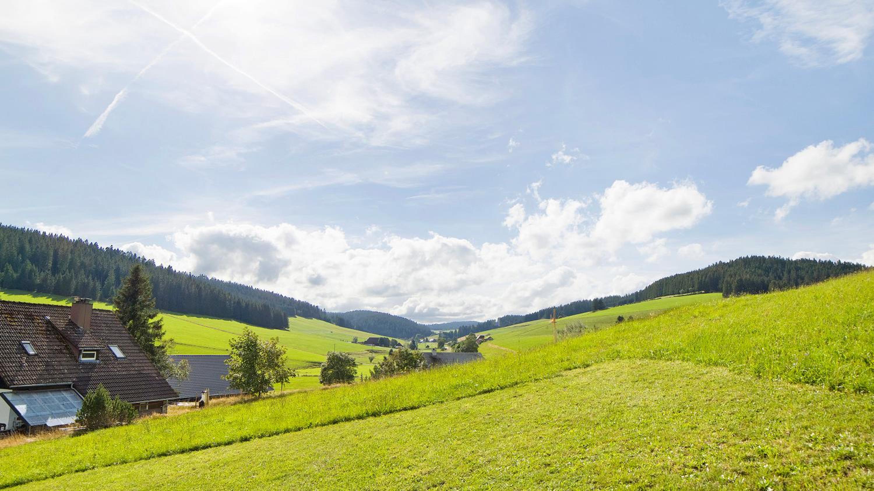Haus Zum Sternen