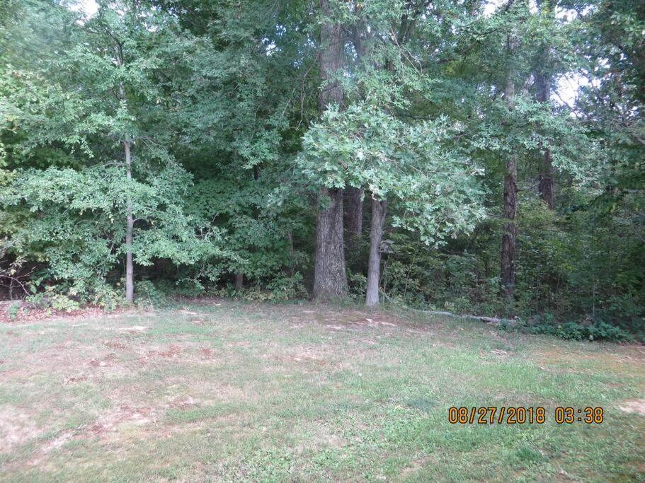 Quiet Country Cottage on Farm-30 Min from Paducah view 3