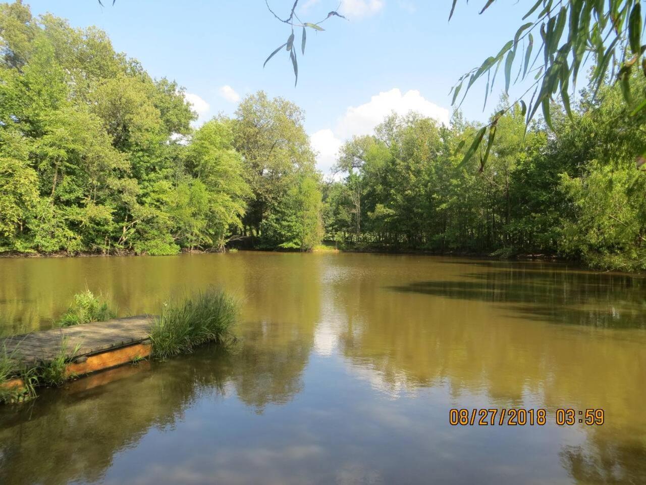 Quiet Country Cottage on Farm-30 Min from Paducah view 4