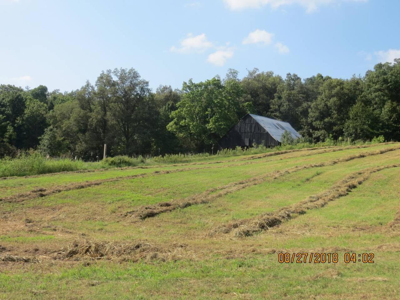Photo 43