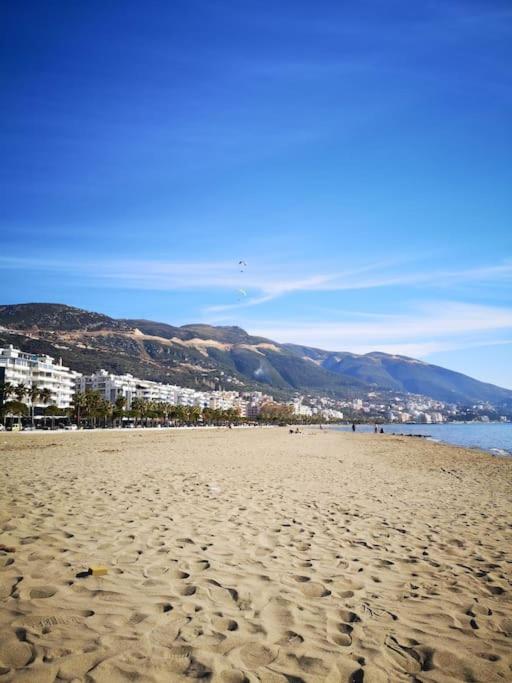 Perfect apartaments in Vlora