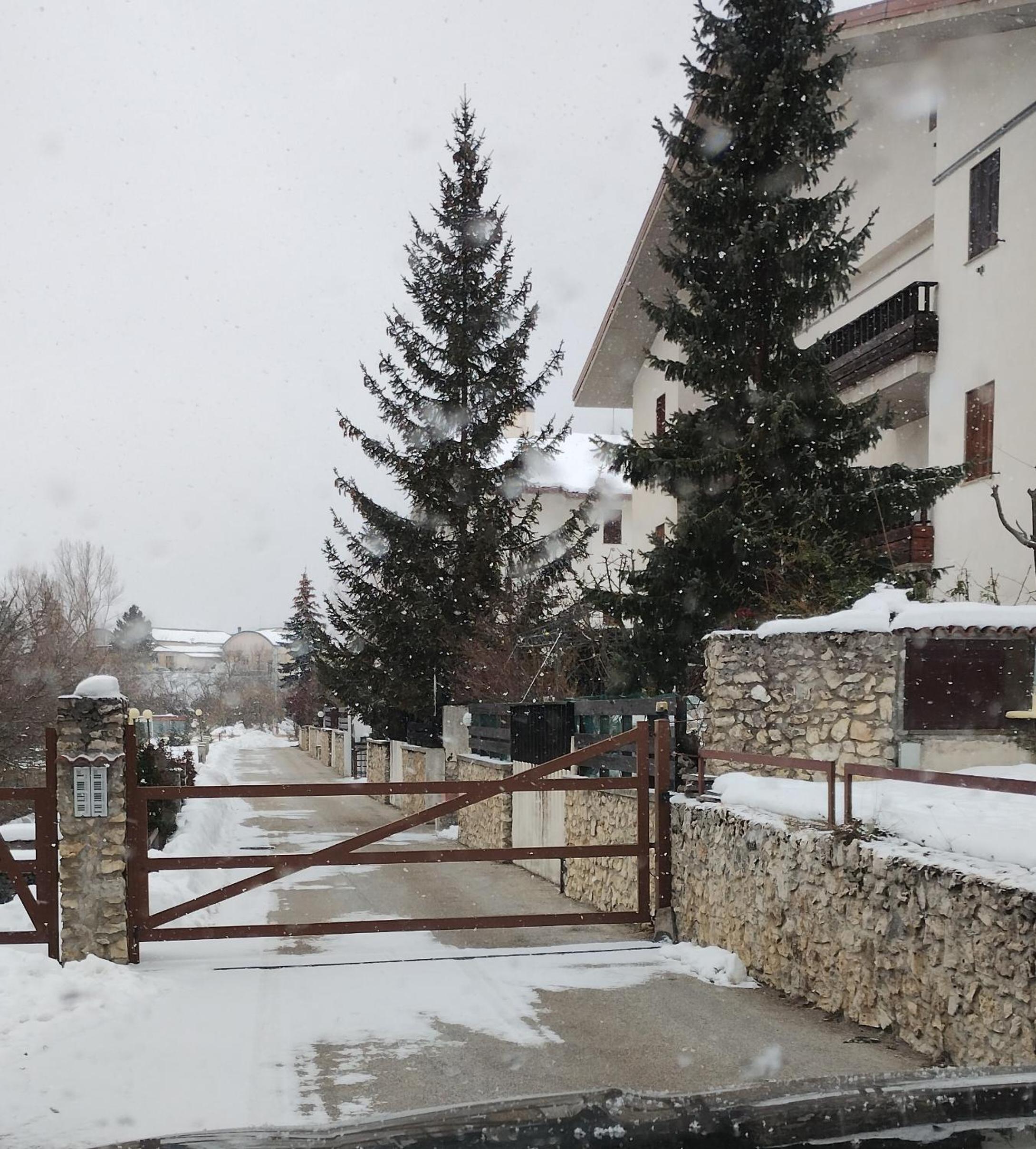Photo 12