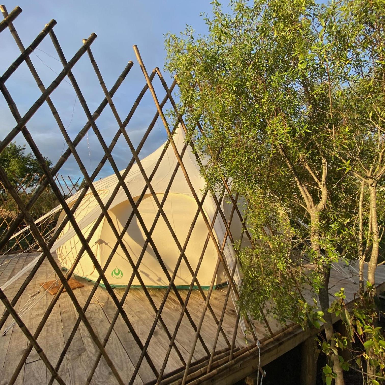 La Colmena Glamping