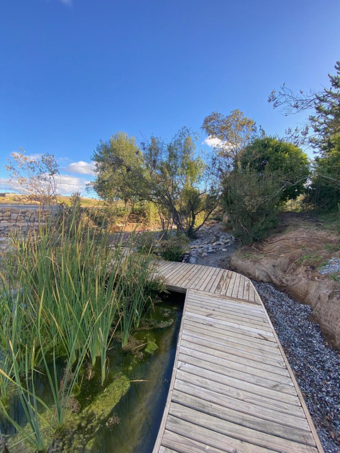La Colmena Glamping