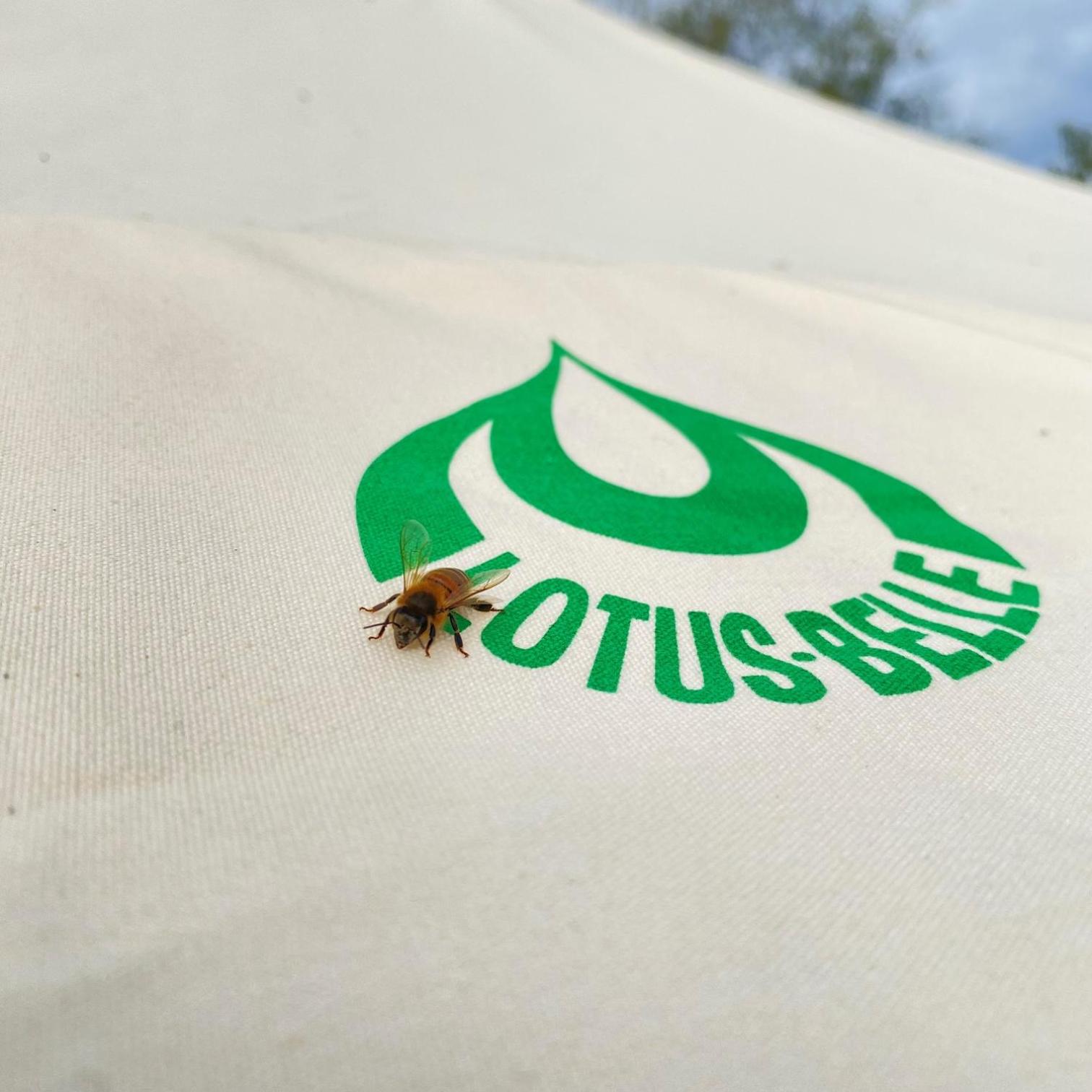 La Colmena Glamping