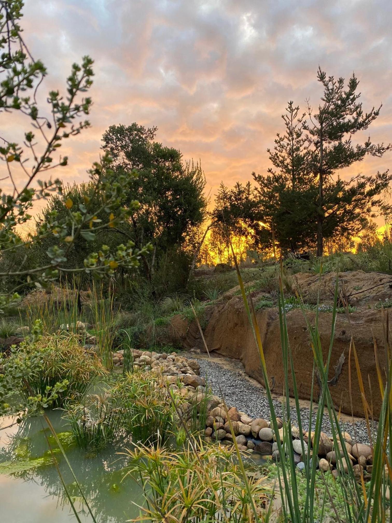 La Colmena Glamping
